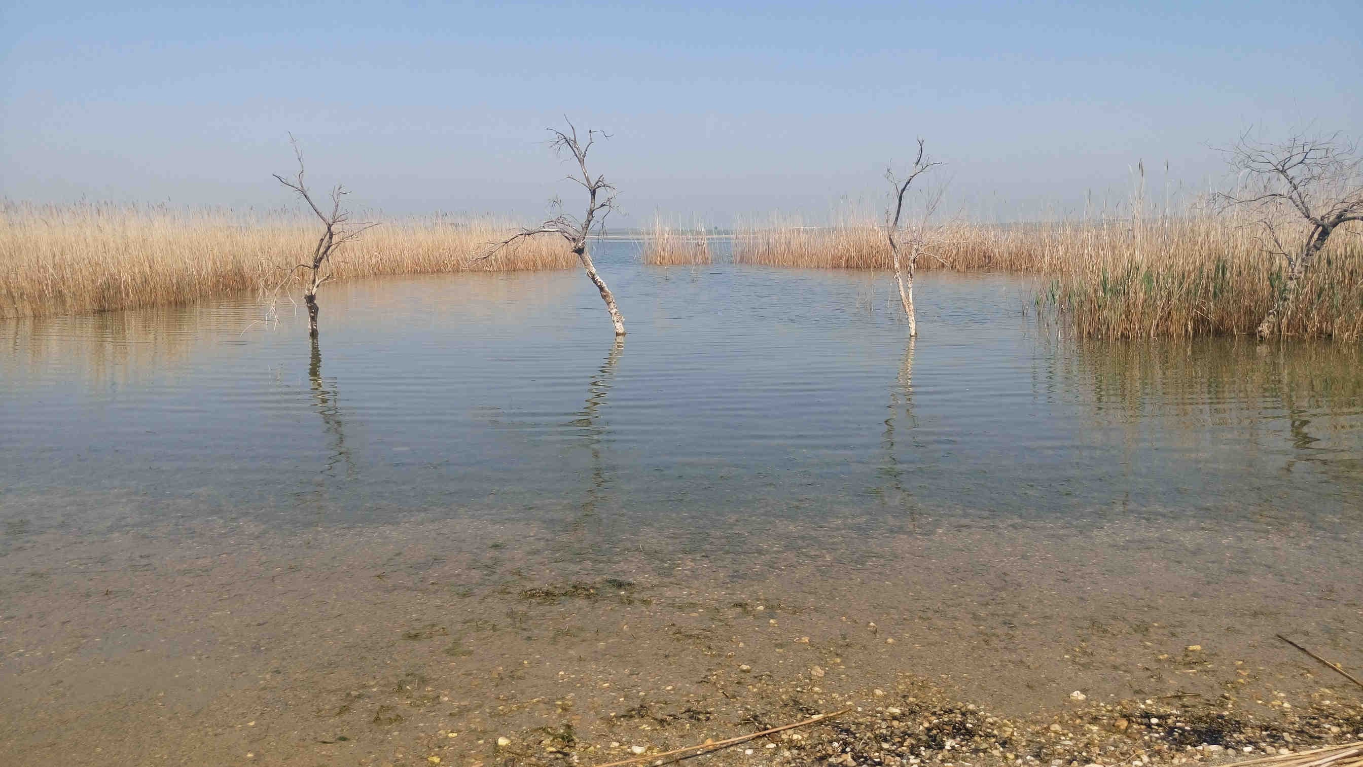 pikrolimni lago