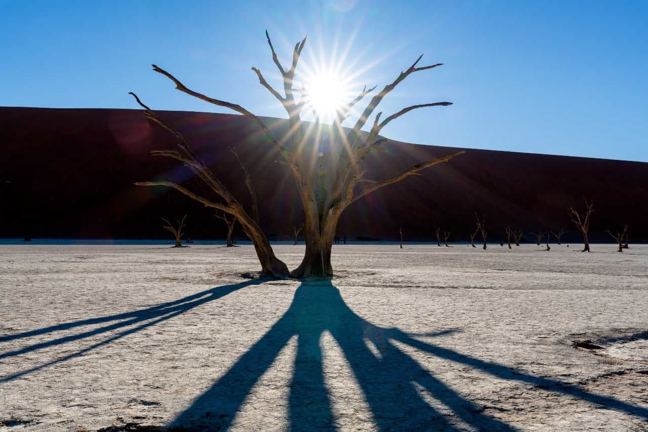 COP16: quali aggiornamenti per il GBF?