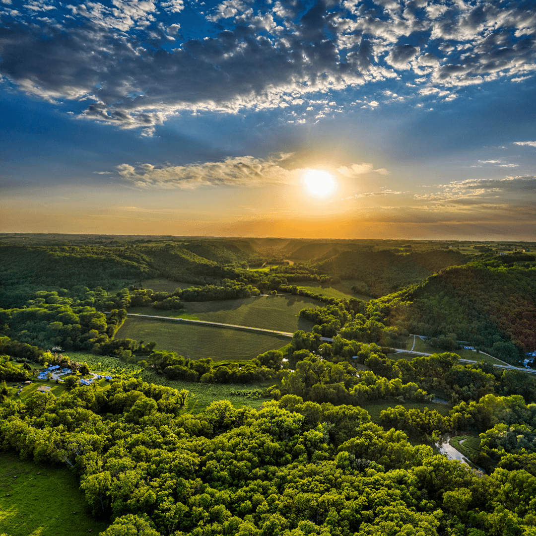 Il Parlamento Europeo ha approvato la Nature Restoration Law