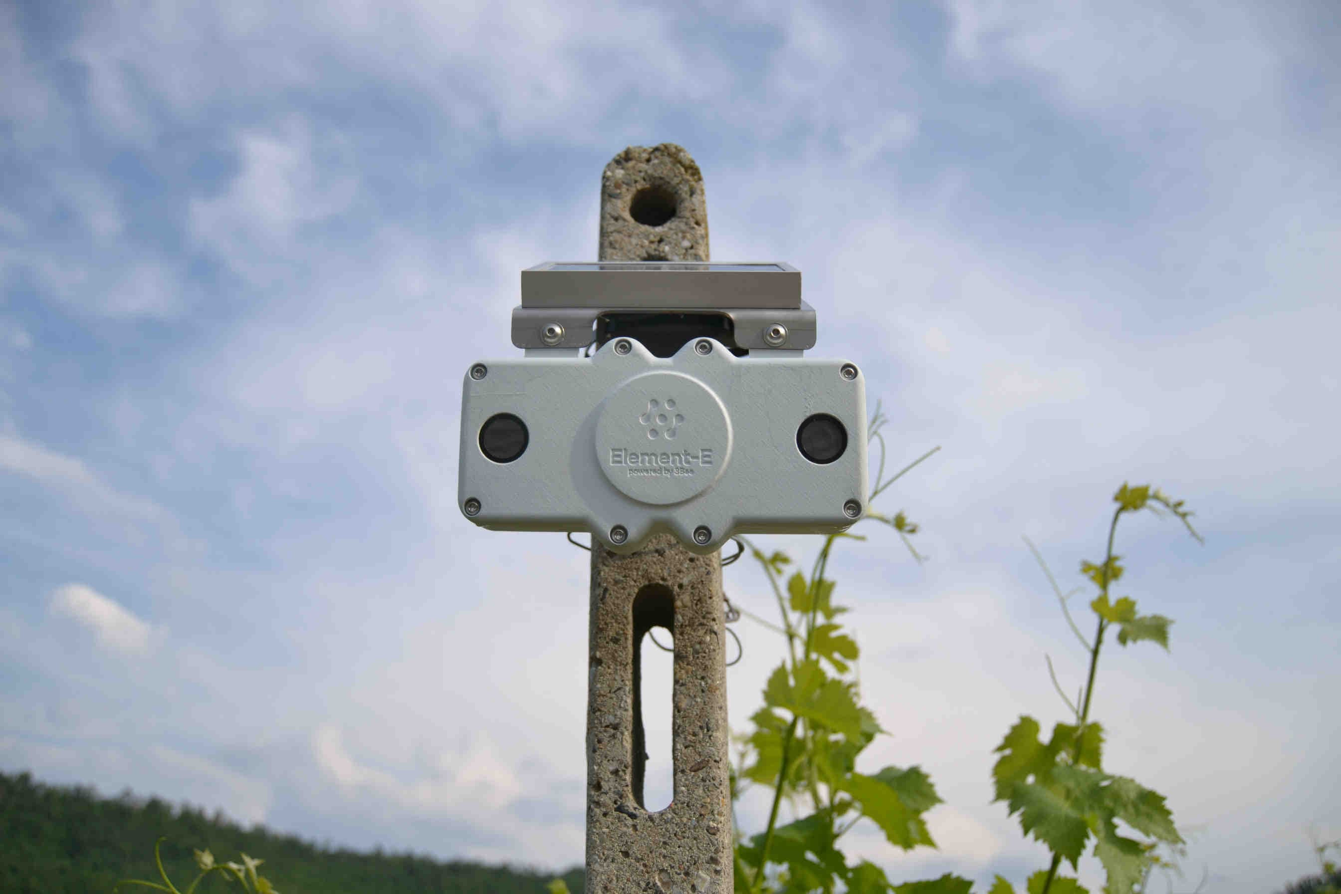 Protéger la biodiversité avec 3Bee