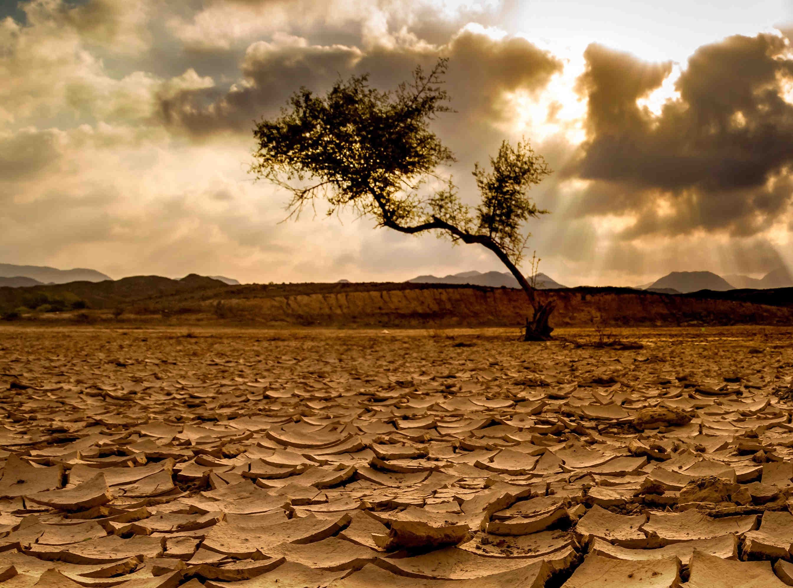 Janvier ardent : les effets du changement climatique