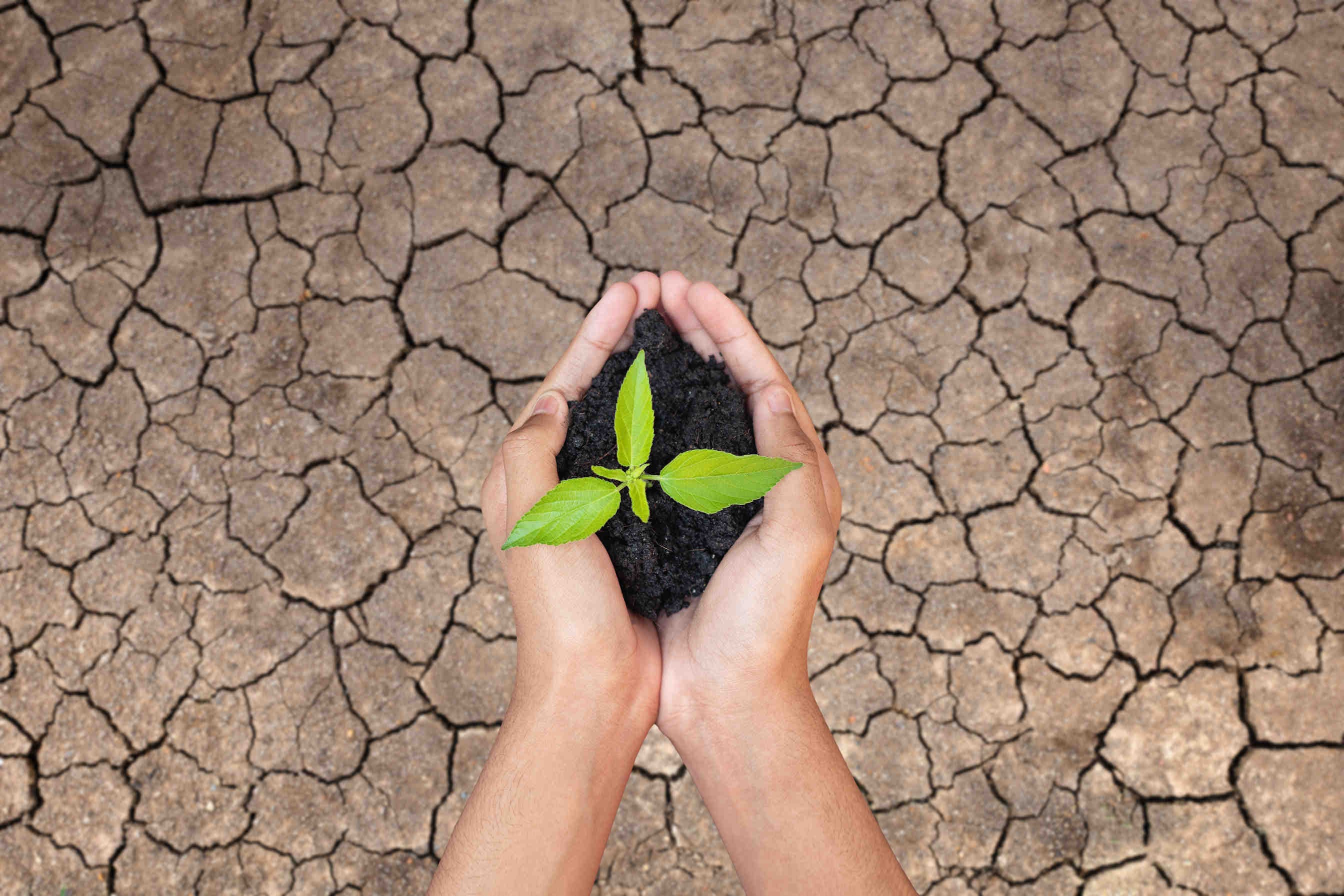 climate change