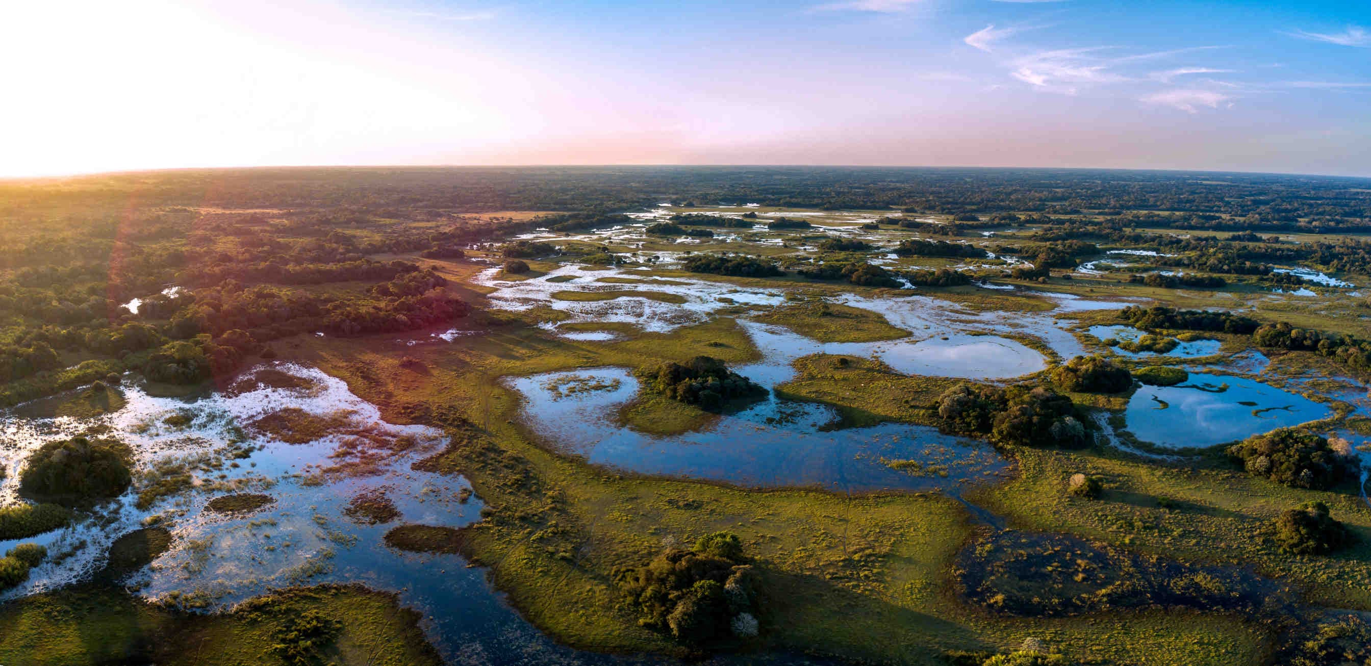 Pantanal biodiversità