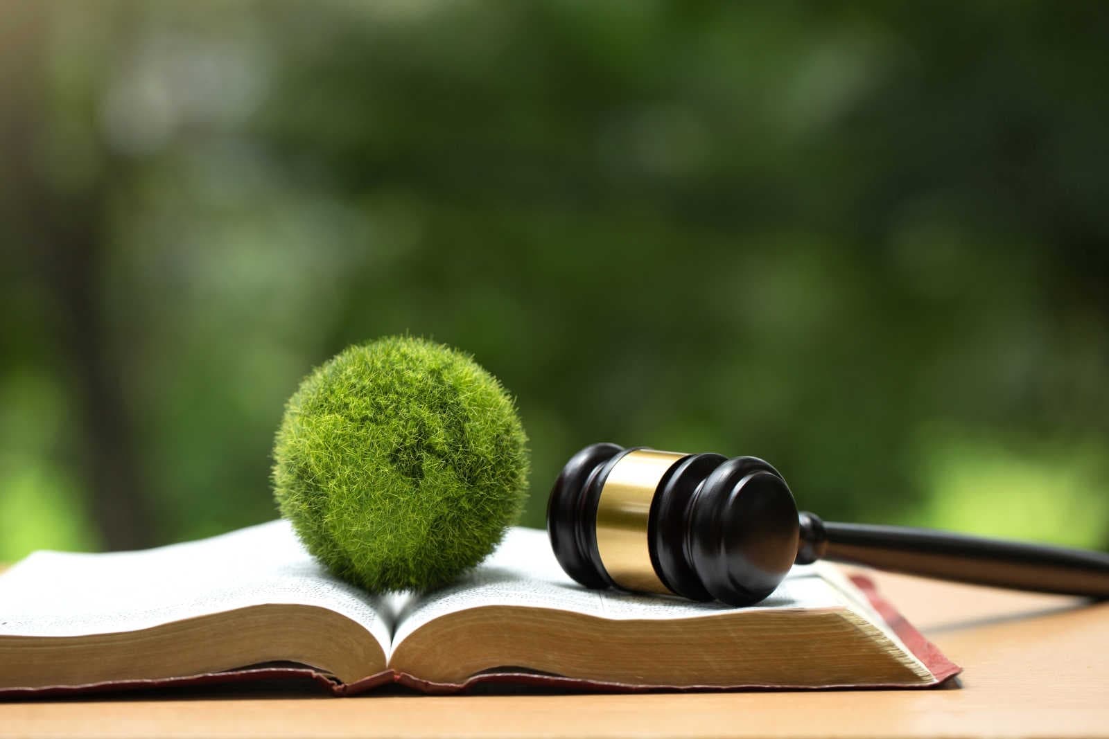 Omnibus: semplificazione o riduzione degli standard ESG?