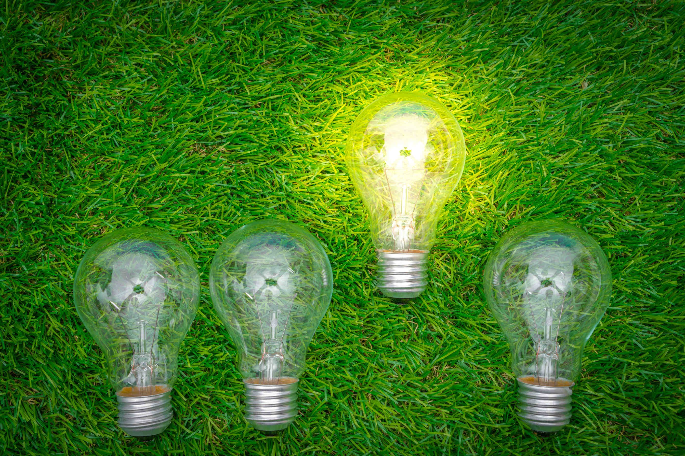 Comuni di Padova e Rovigo: il Bando GreenUp! per l'ambiente