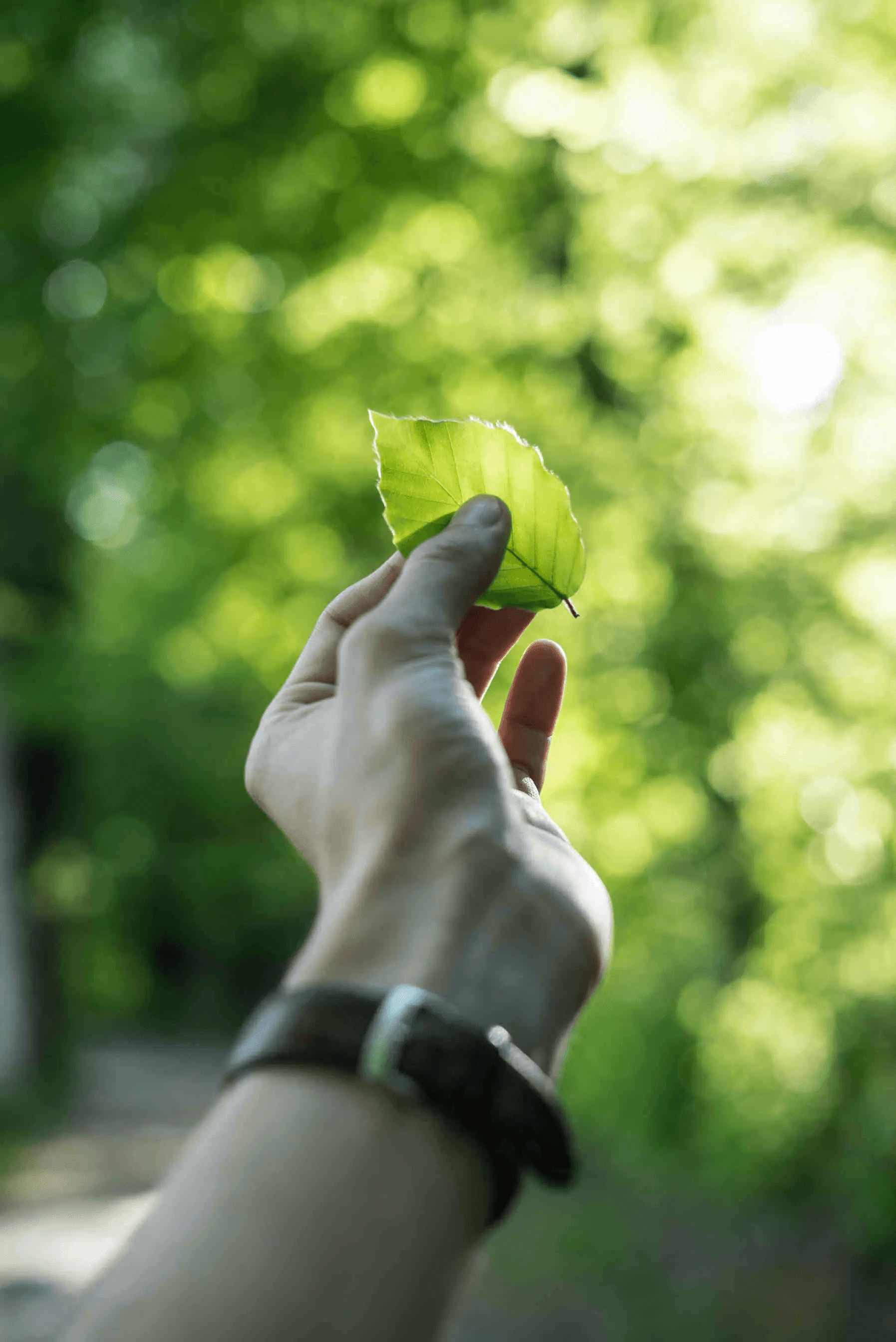 Mögliche Lösungen zur Eindämmung von Green Hushing