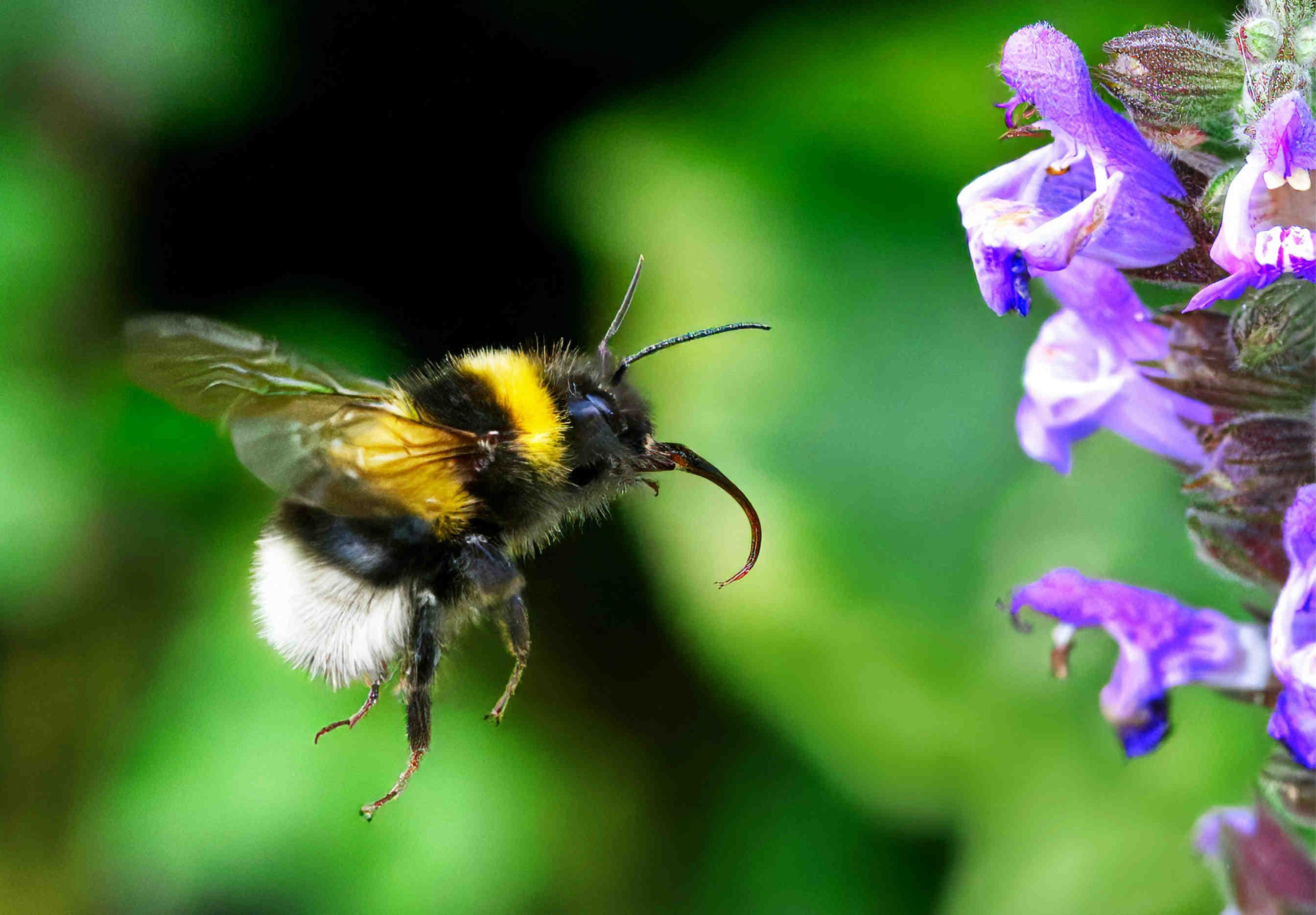 3bee-blog-innovazione-tecnologica-per-citta-piu-sostenibili