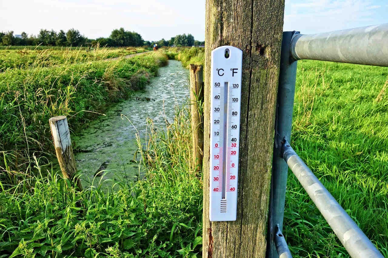 siccità e alte temperature