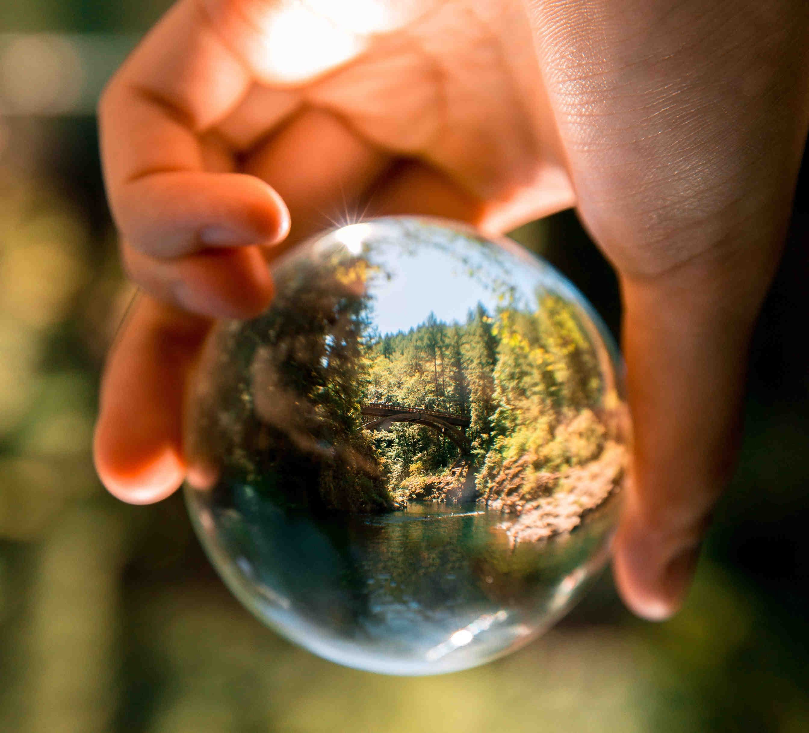 Tutela della biodiversità