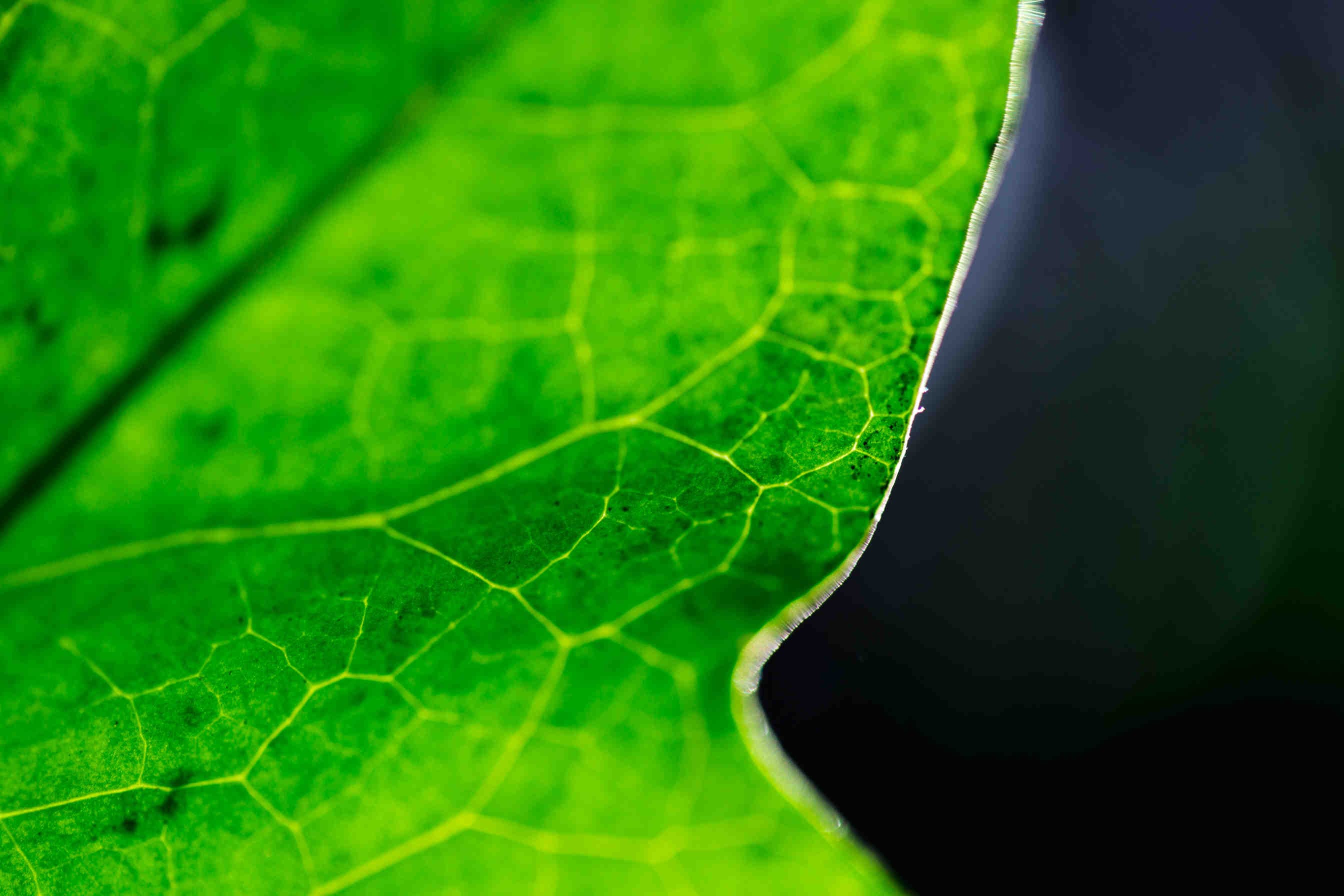 Guida IFRS: come adottare gli standard ISSB sul clima