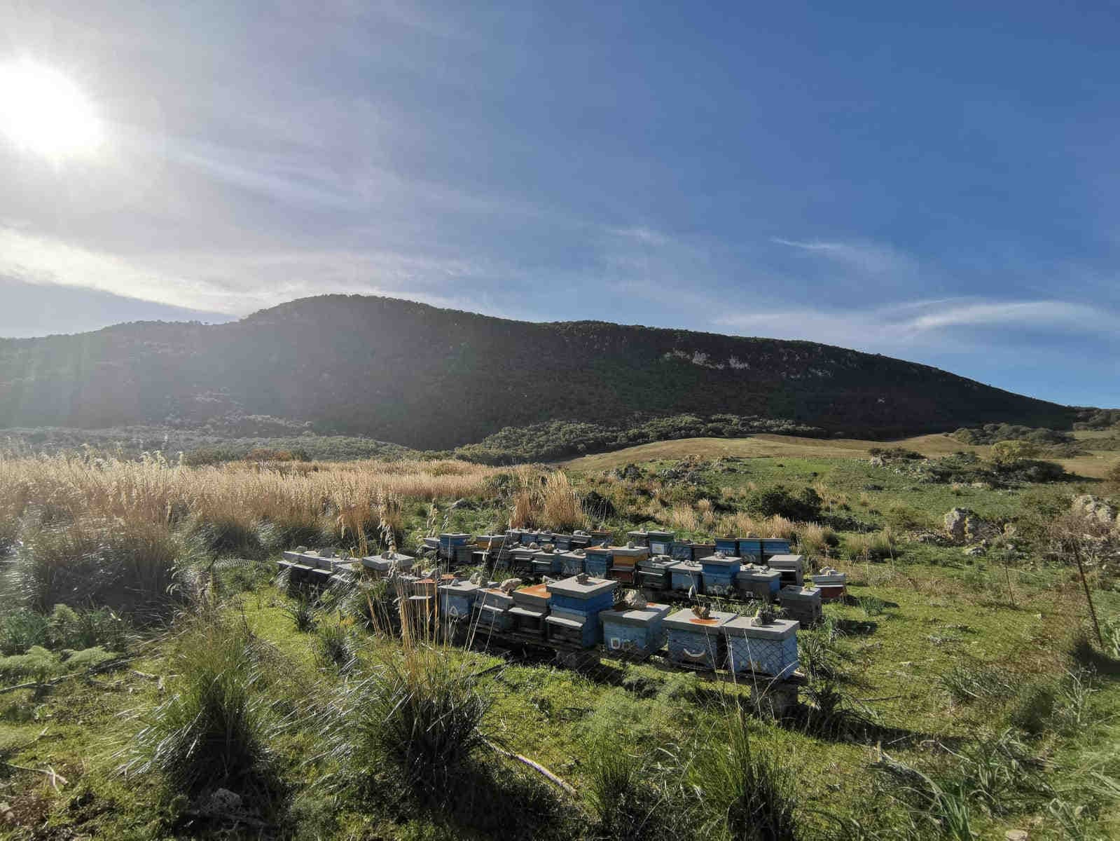 oasi di GBSAPRI