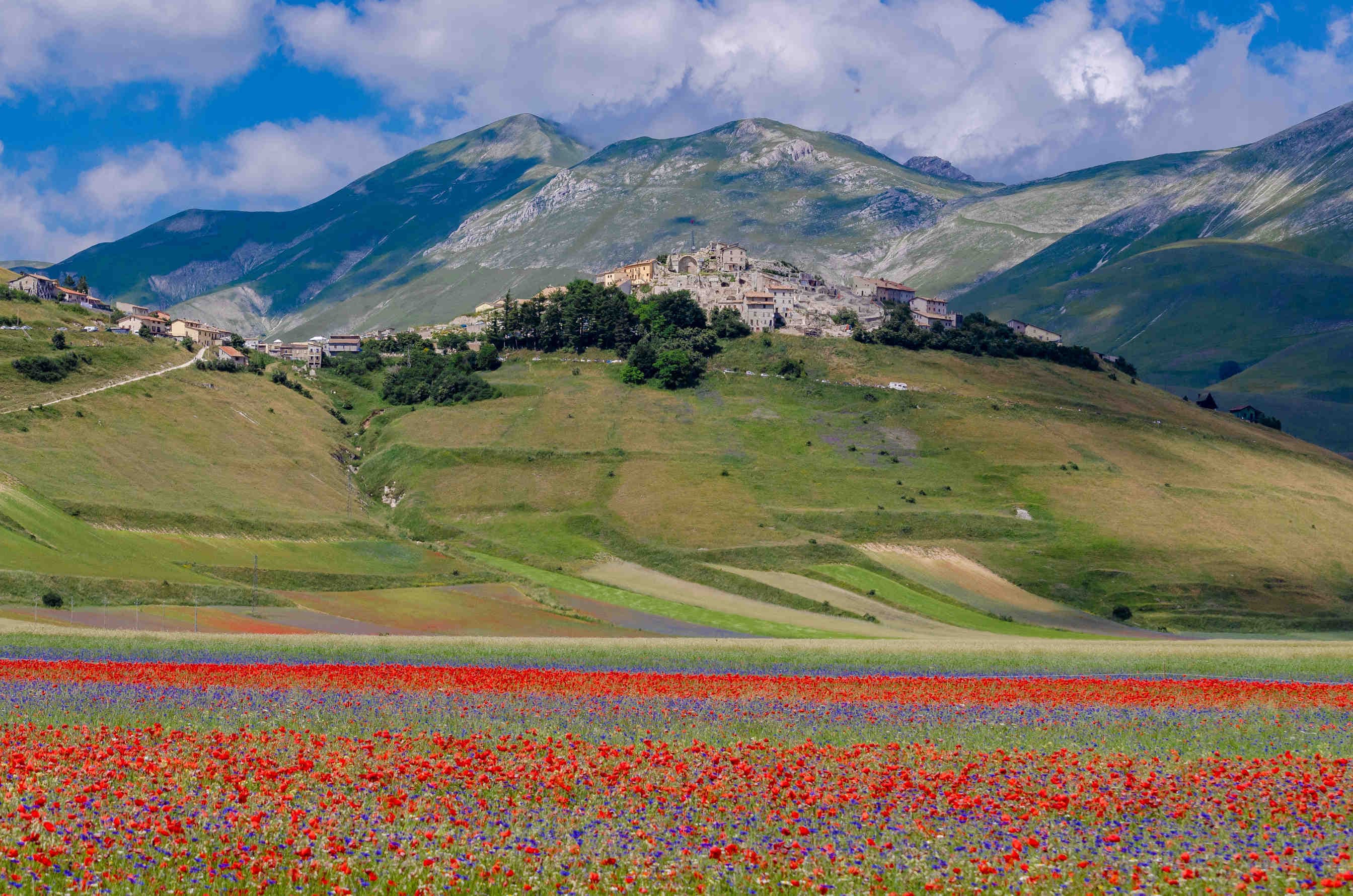 Fioritura Castelluccio di Norcia