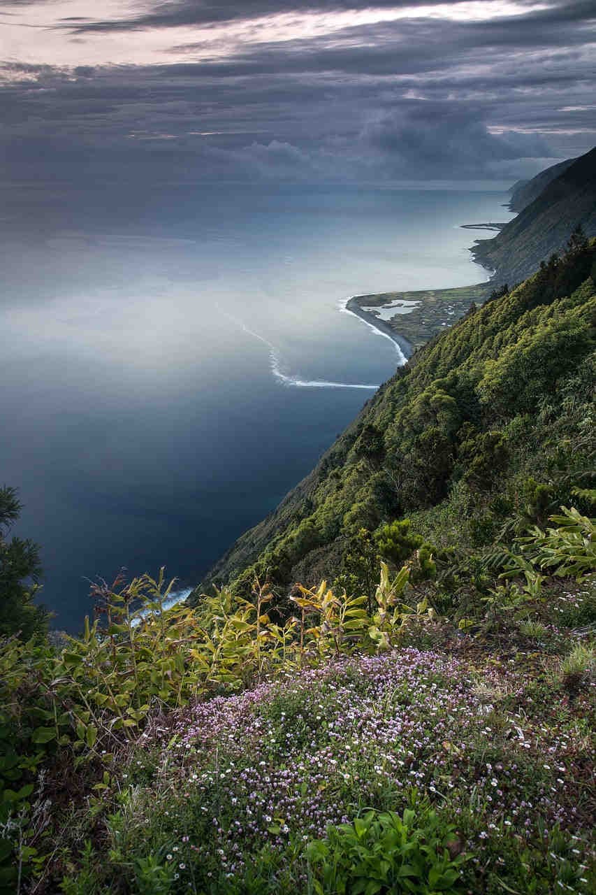 nature restoration law