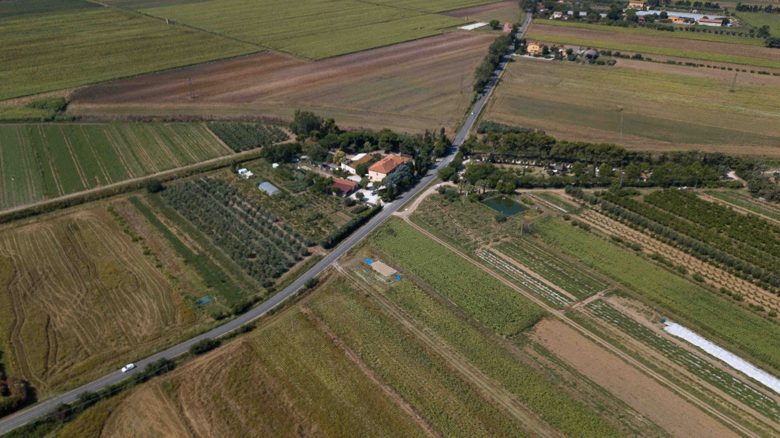 Oasi 3Bee Biodiversità