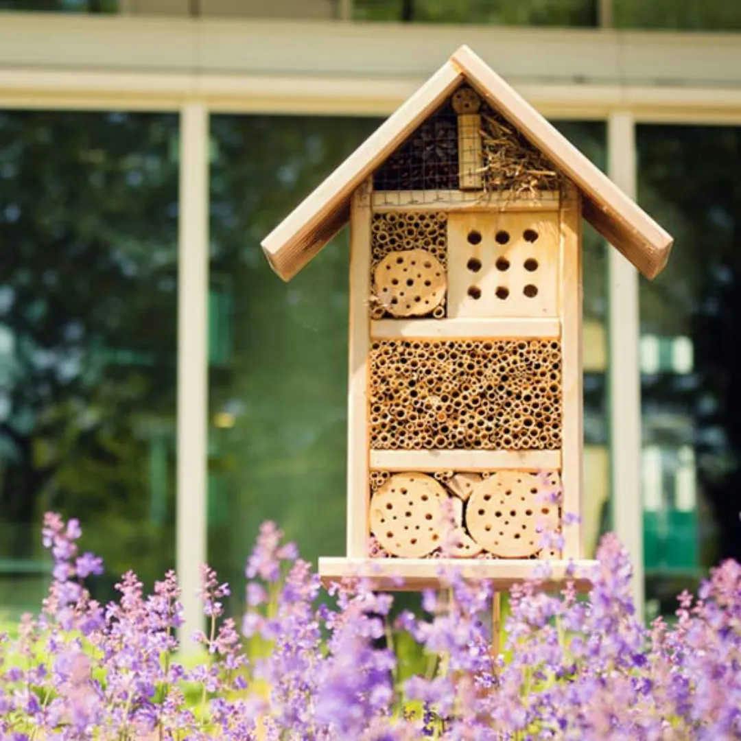 Flowers and bug hotel