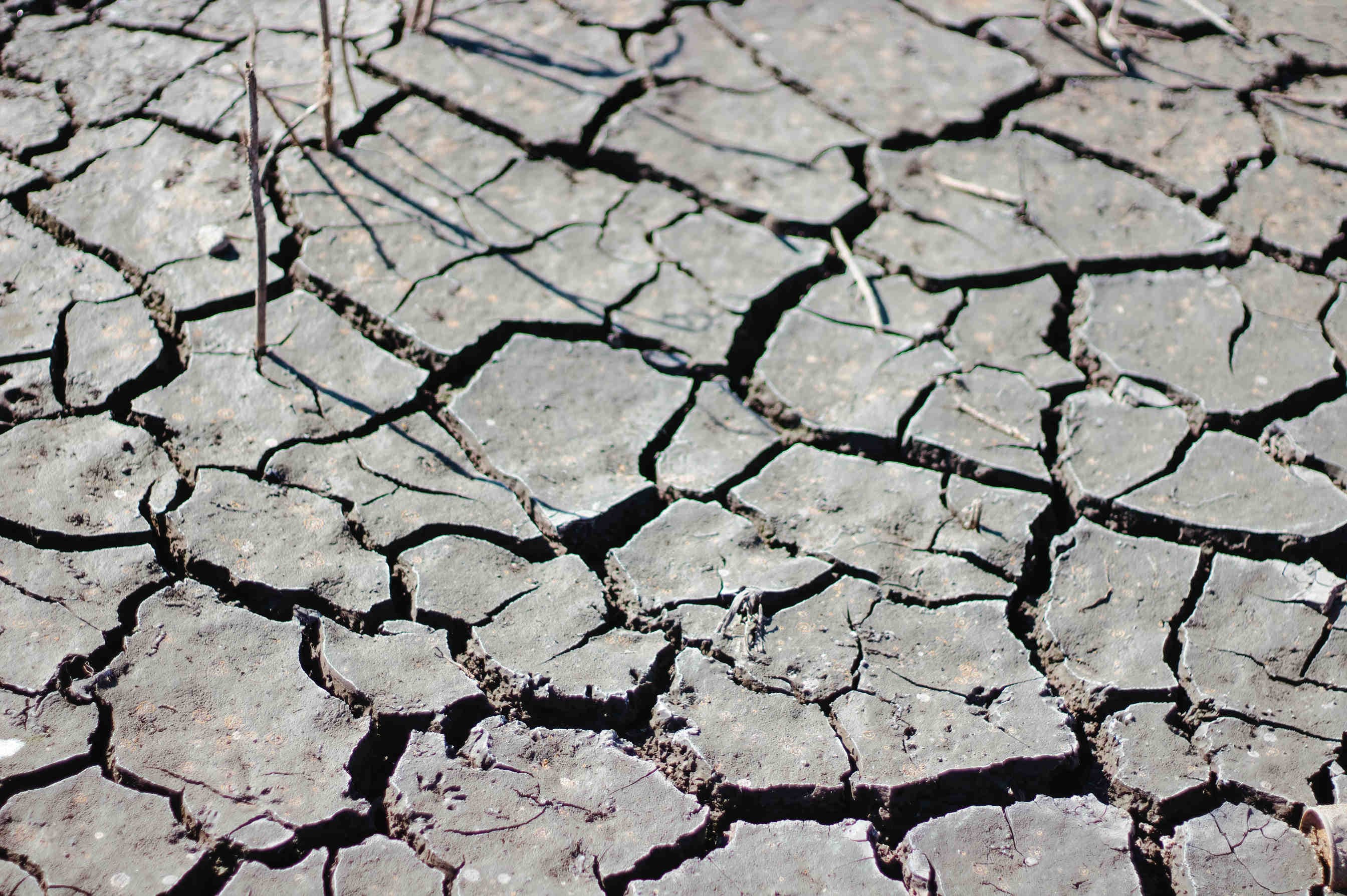 COP27 cambiamento climatico