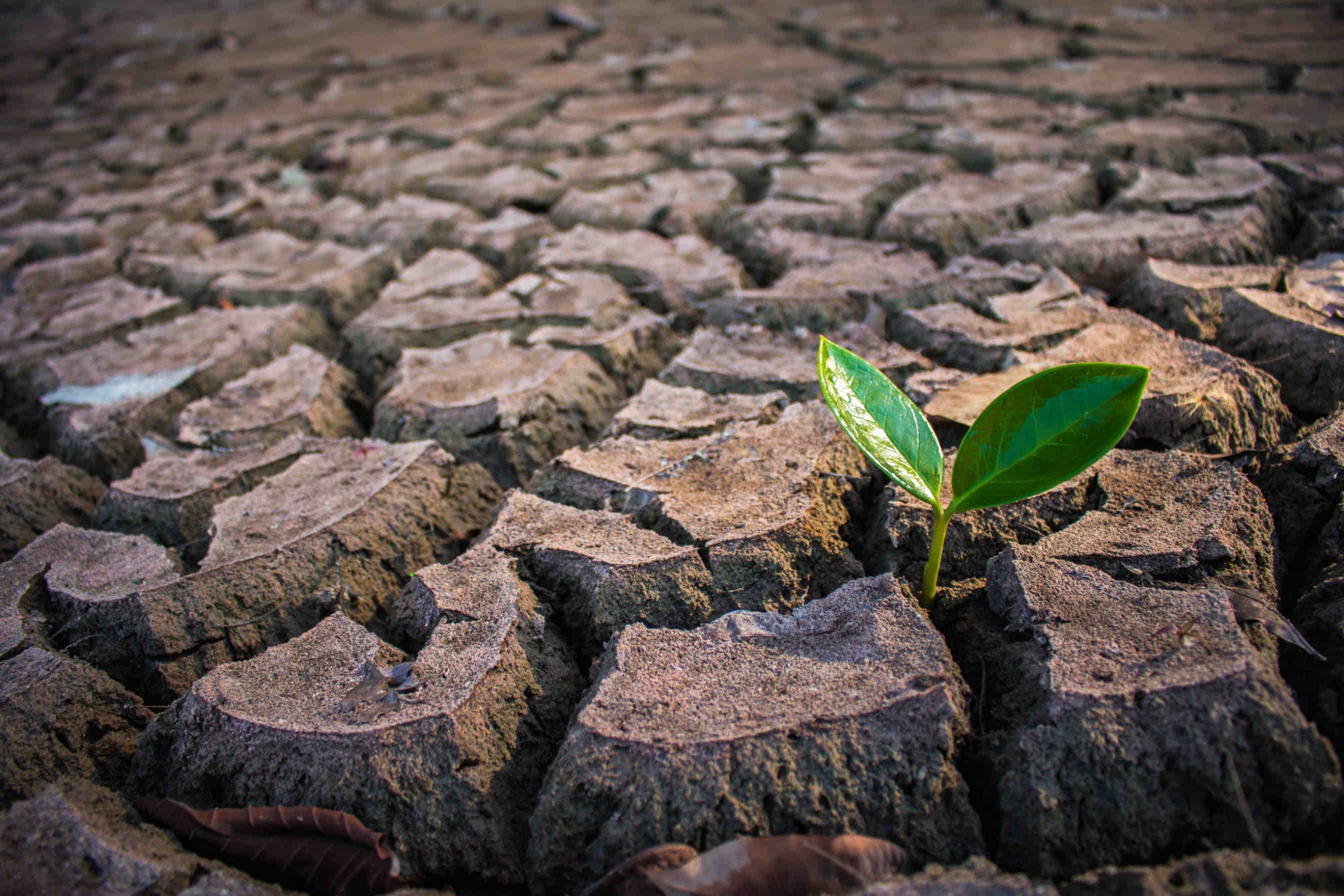 Il Piano Nazionale di Adattamento ai Cambiamenti Climatici