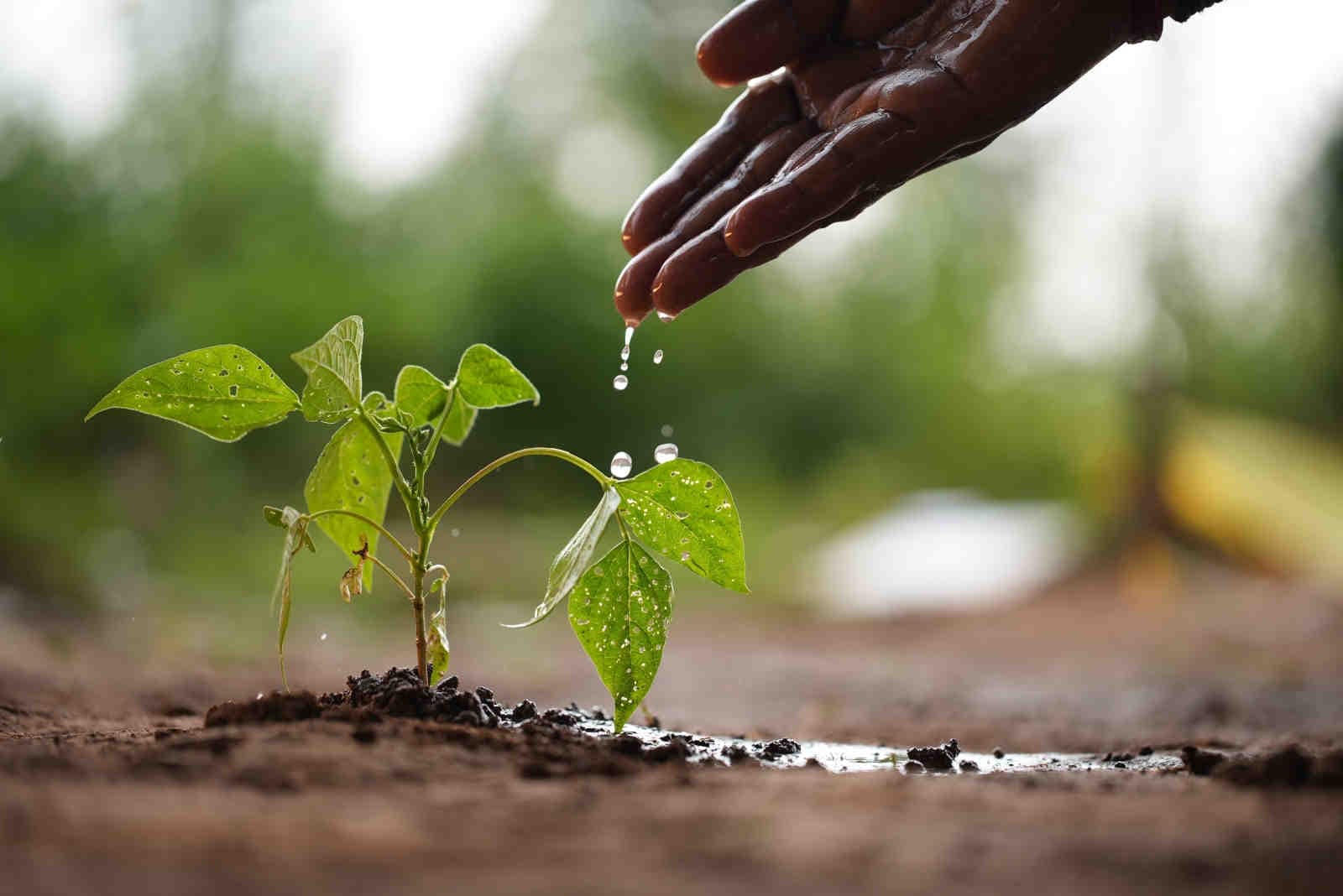 Sostenibilità e impatti ambientali: l'importanza della VIA