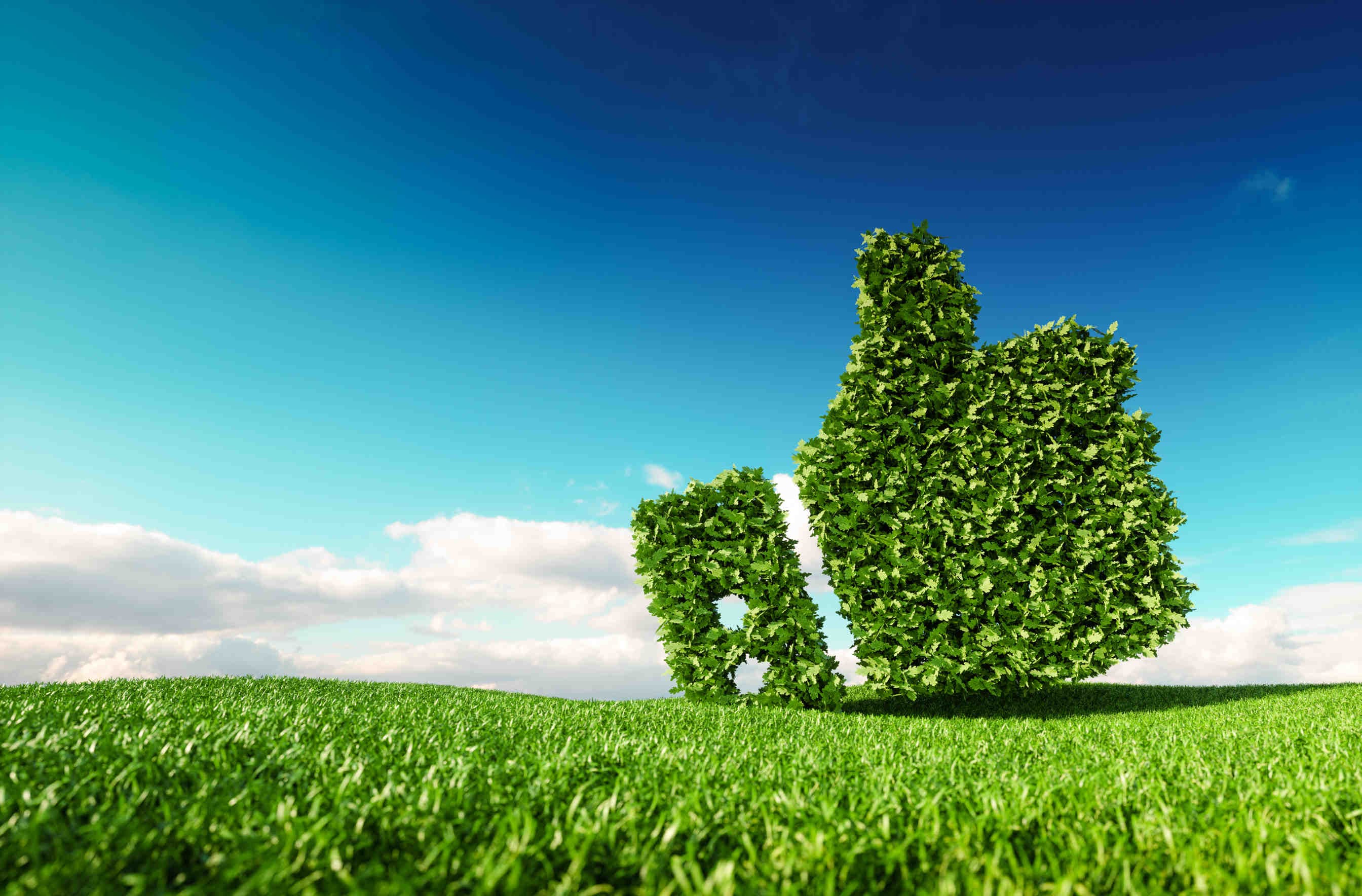 Dalla Green Economy ai Crediti di Biodiversità
