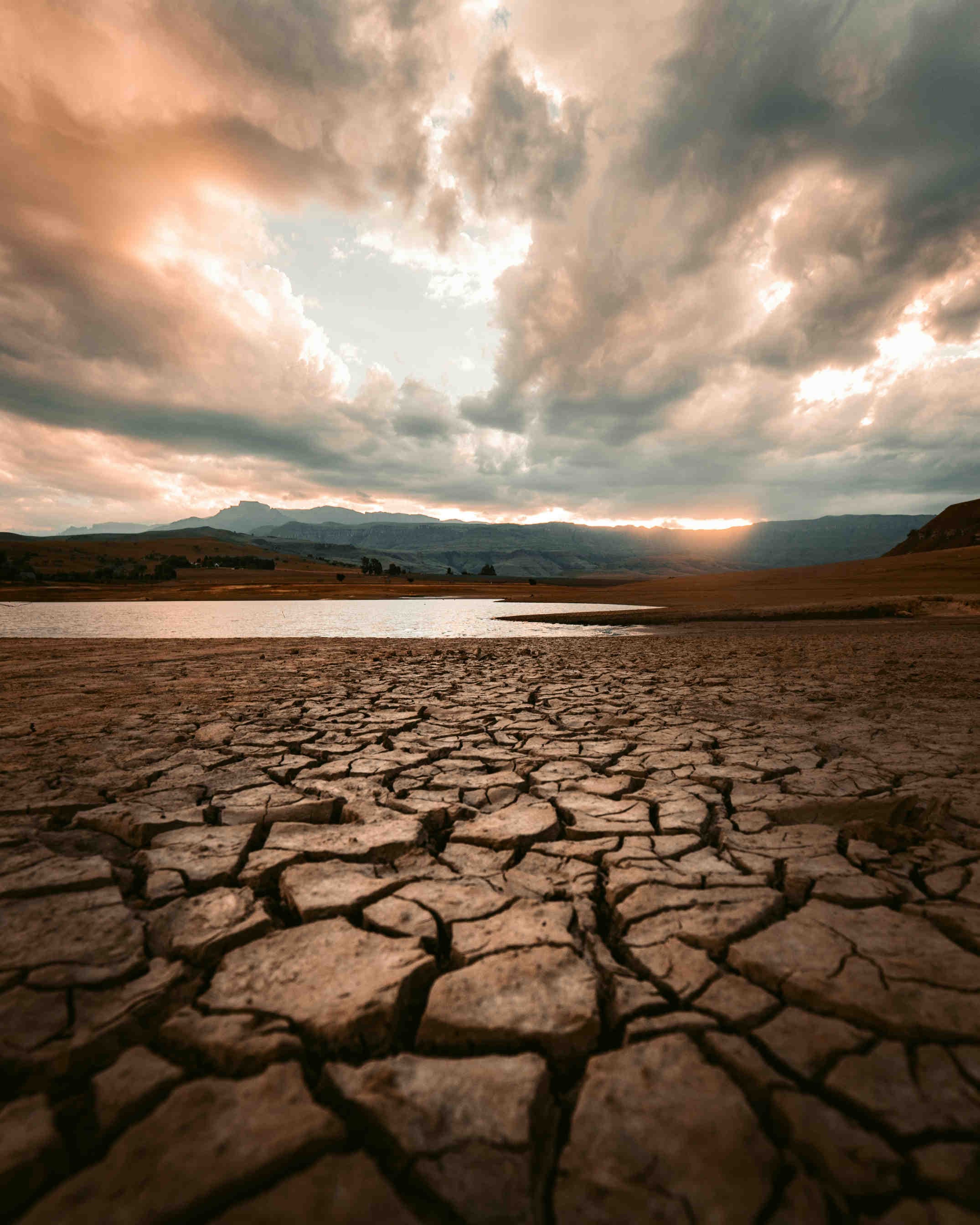 Differenze tra desertificazione e siccità