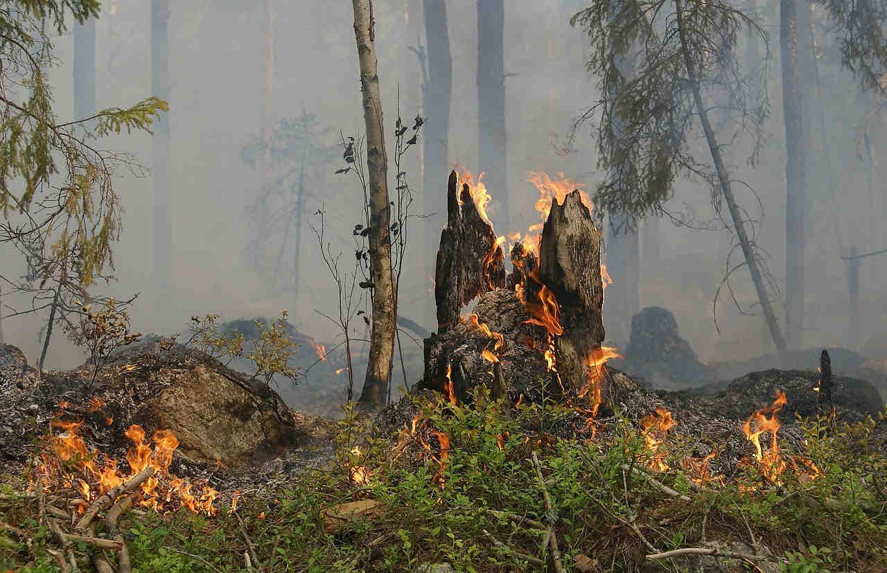 shock termico degli incendi