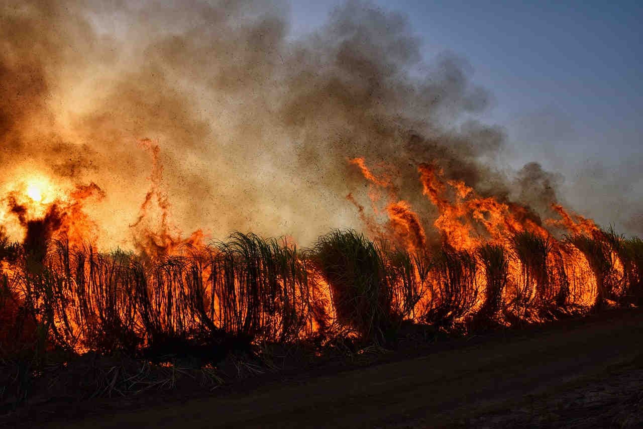 fuoco