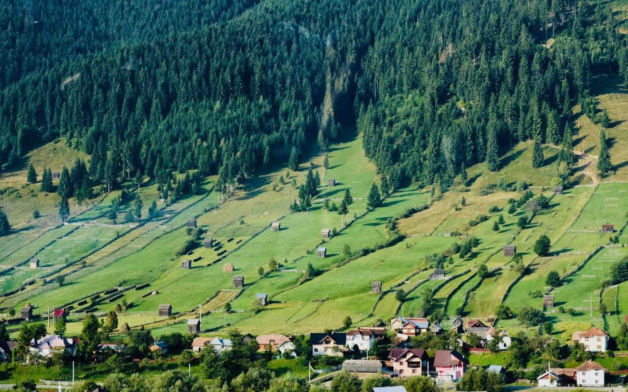 Aree verdi e biodiversità urbana