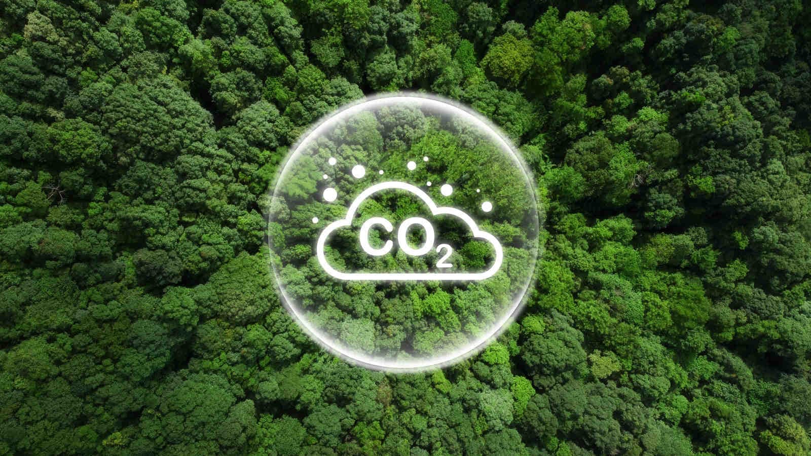 Impronta ecologica, impronta ambientale e carbon footprint
