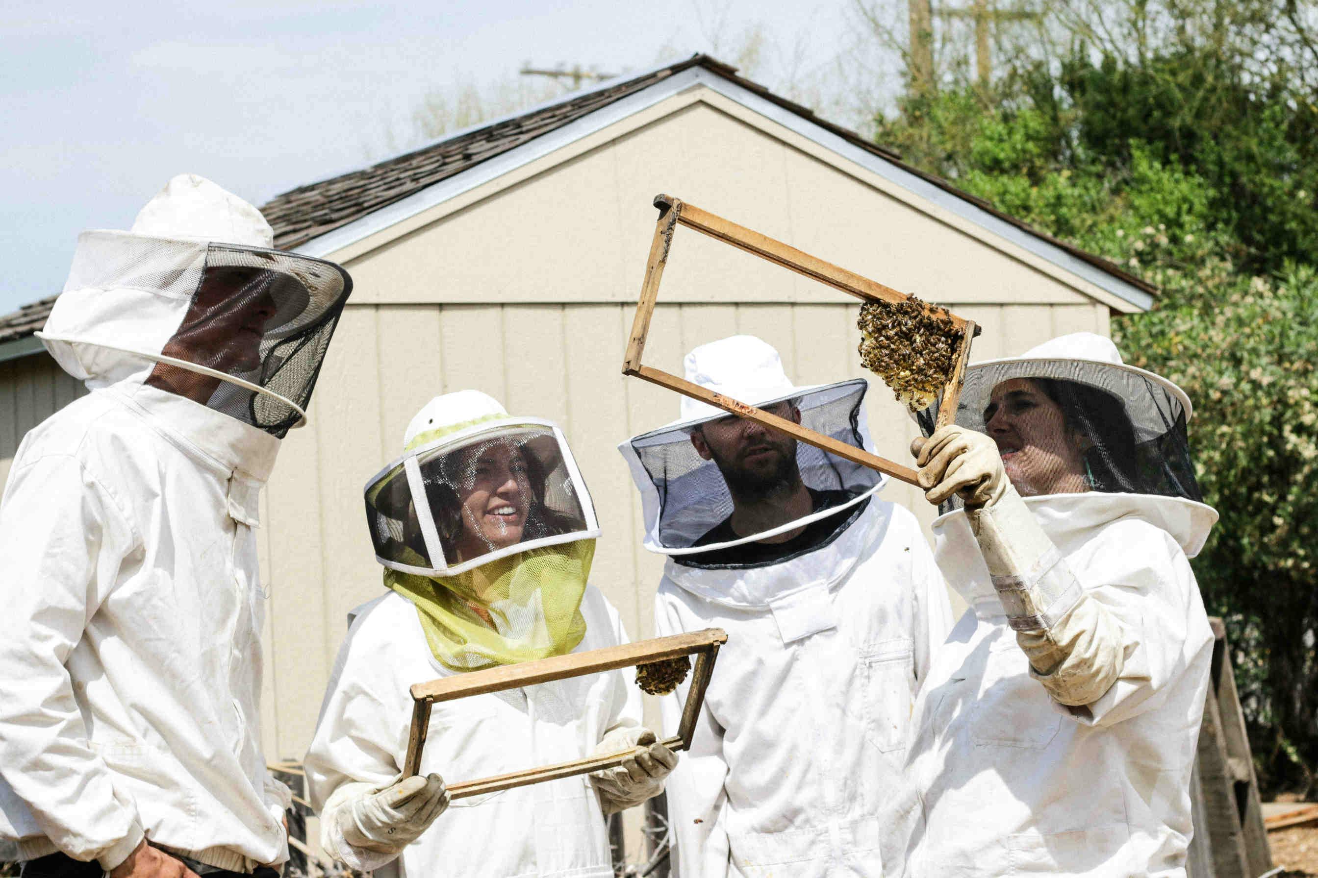 7 Consigli per chi si vuole avvicinare all’apicoltura