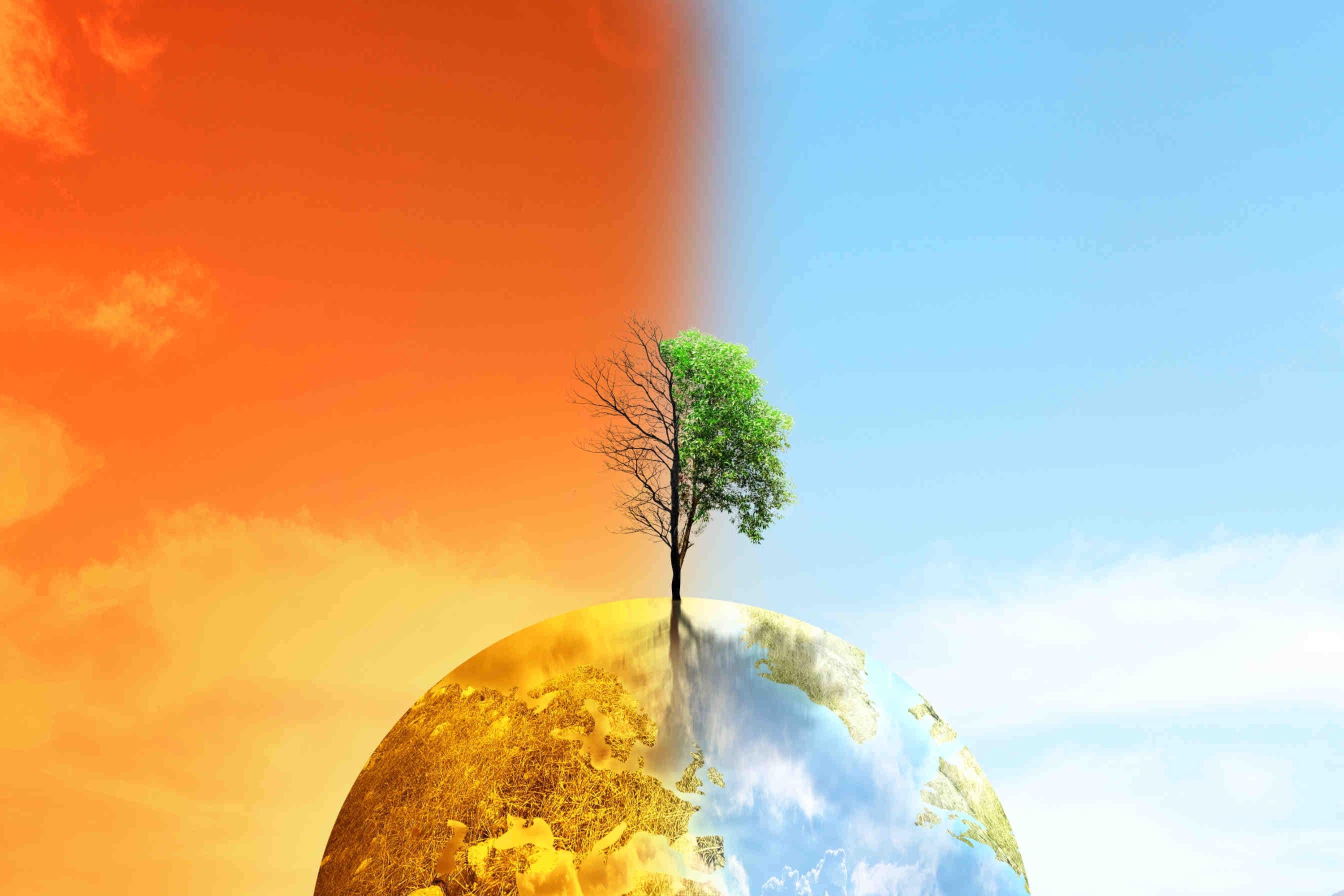 climate change