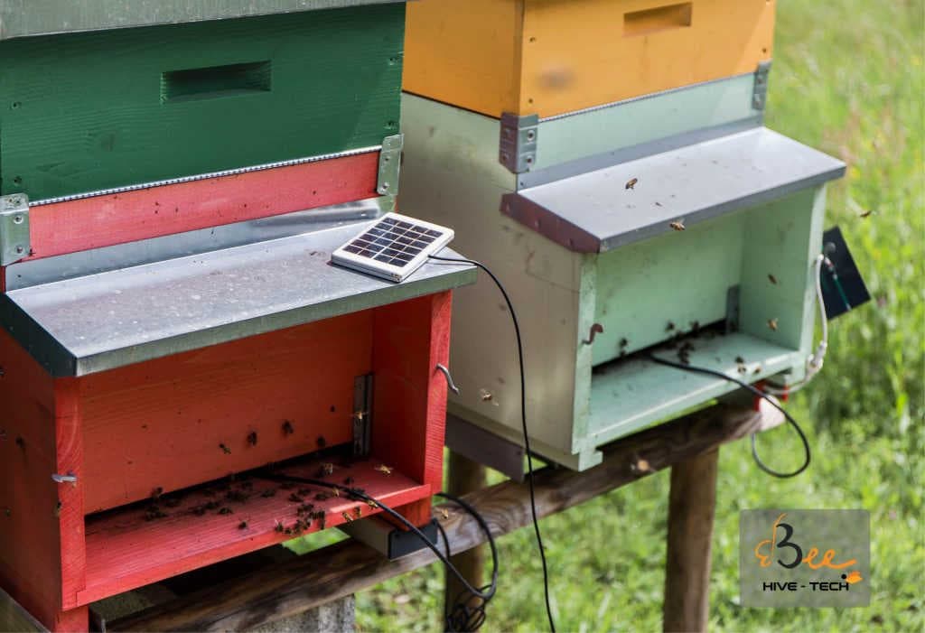 Always monitor your hive with 3Bee