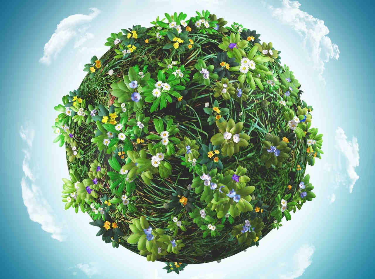 COP 28: guardando al futuro