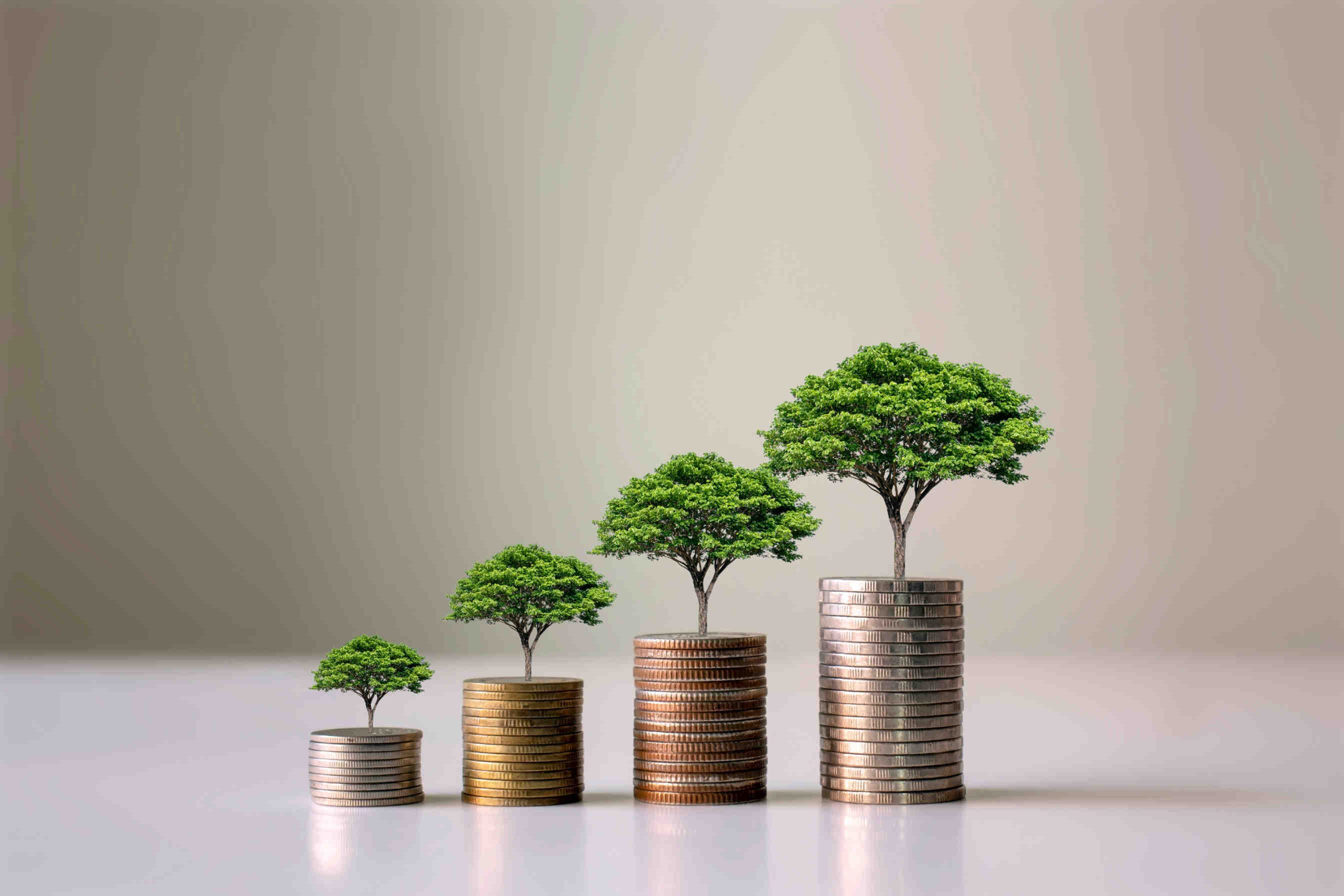 Investissements dans les infrastructures pour un DD