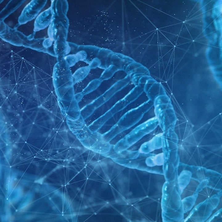 DNA