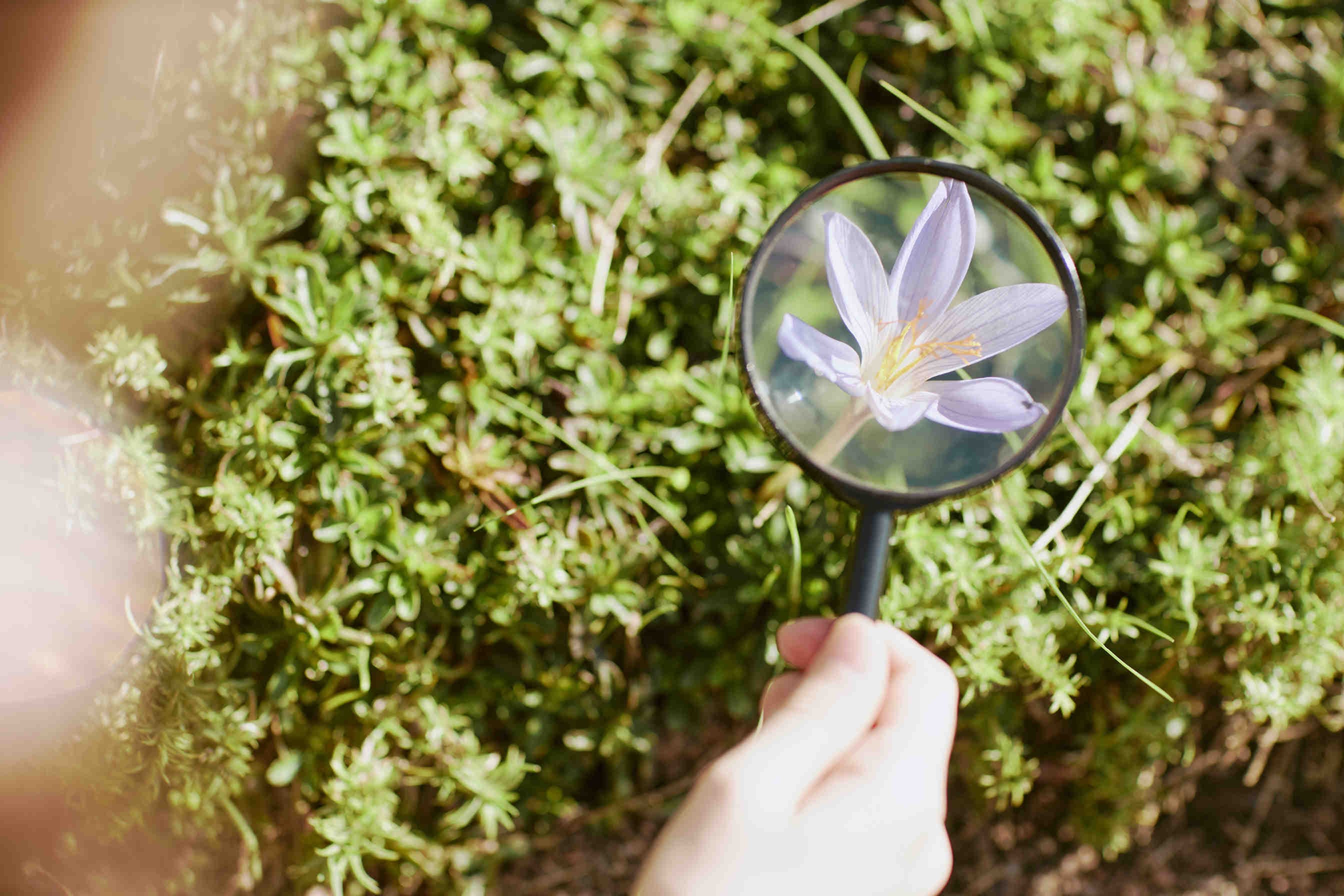 Monitorare e proteggere la biodiversità: un asset strategico per le aziende