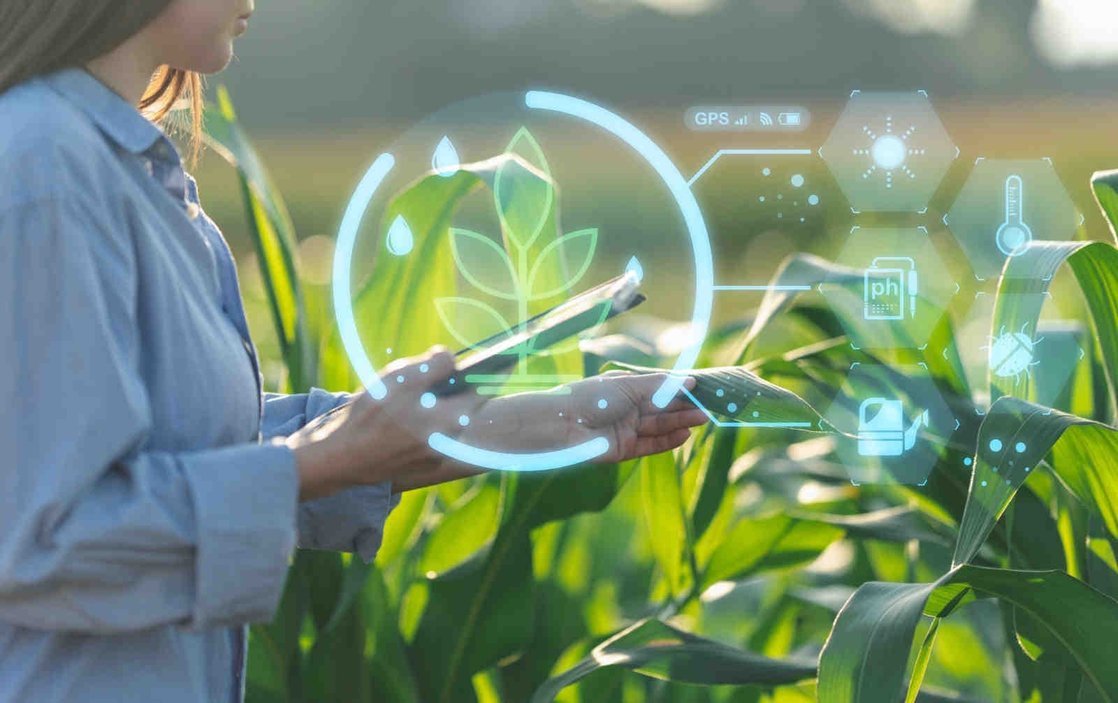 Le tecnologie chiave per la sostenibilità