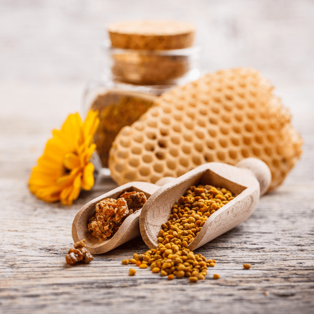 Bienenstockprodukte: Die Propolis