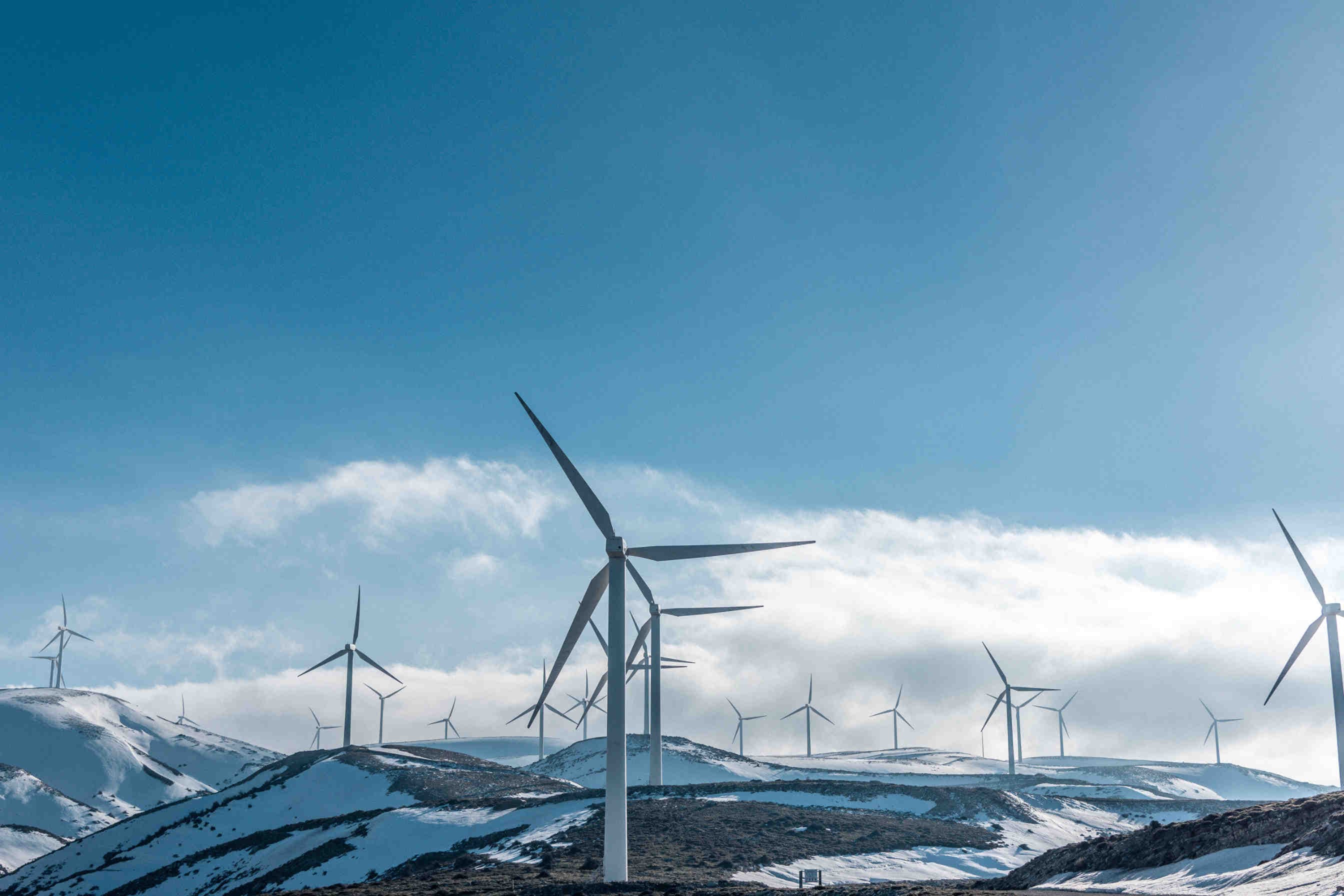 Obbligazioni tradizionali e Green bond