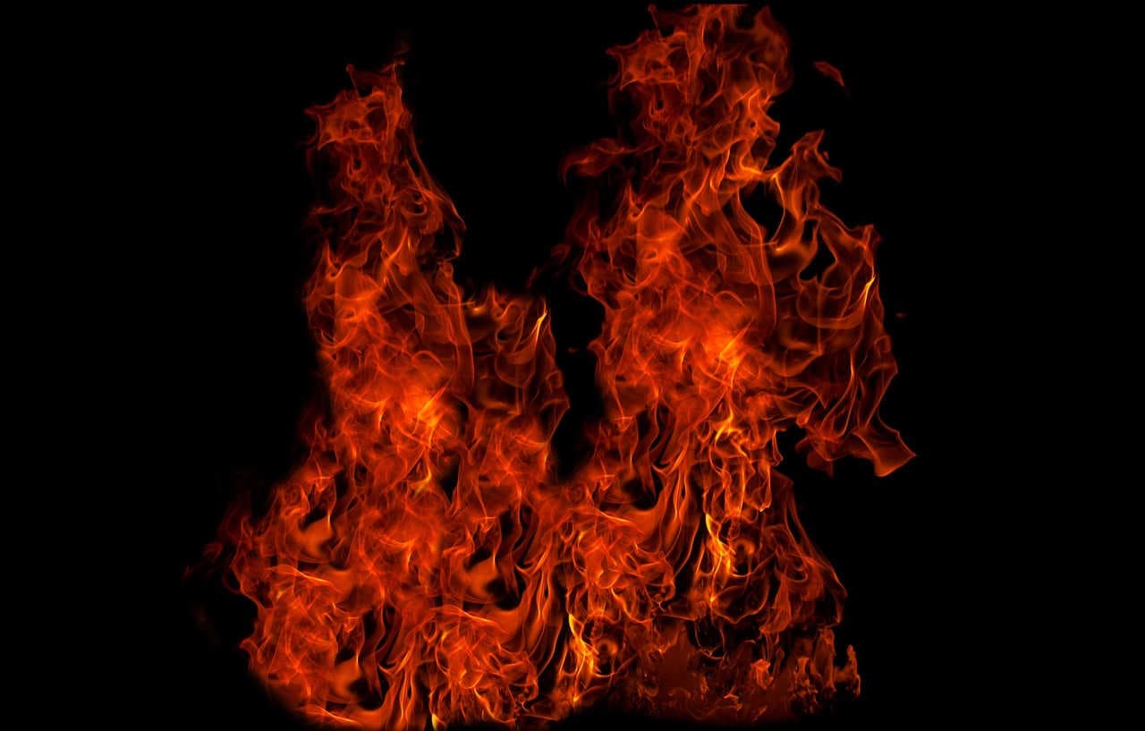 Gli incendi e la rigenerazione di un ecosistema