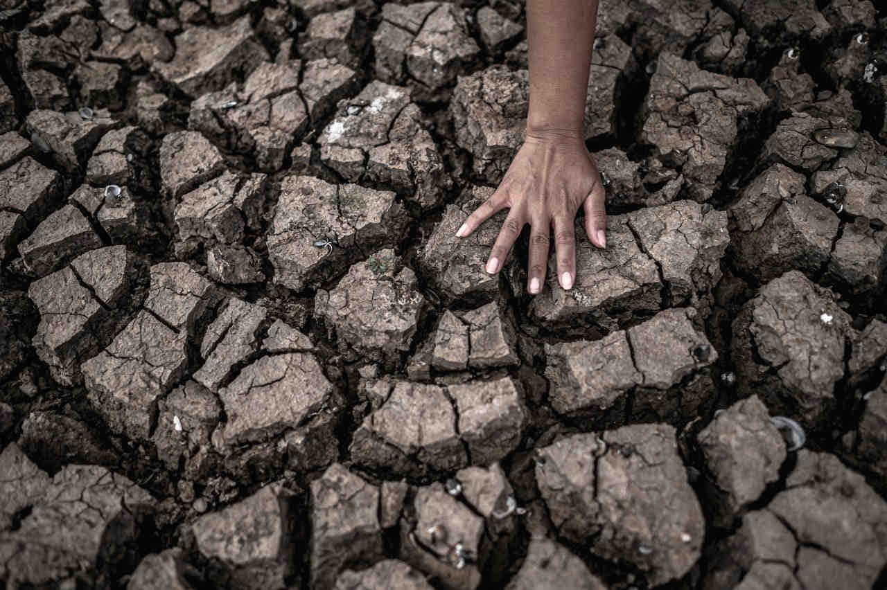 Crisi climatica e implicazioni economiche: lo studio di BCG