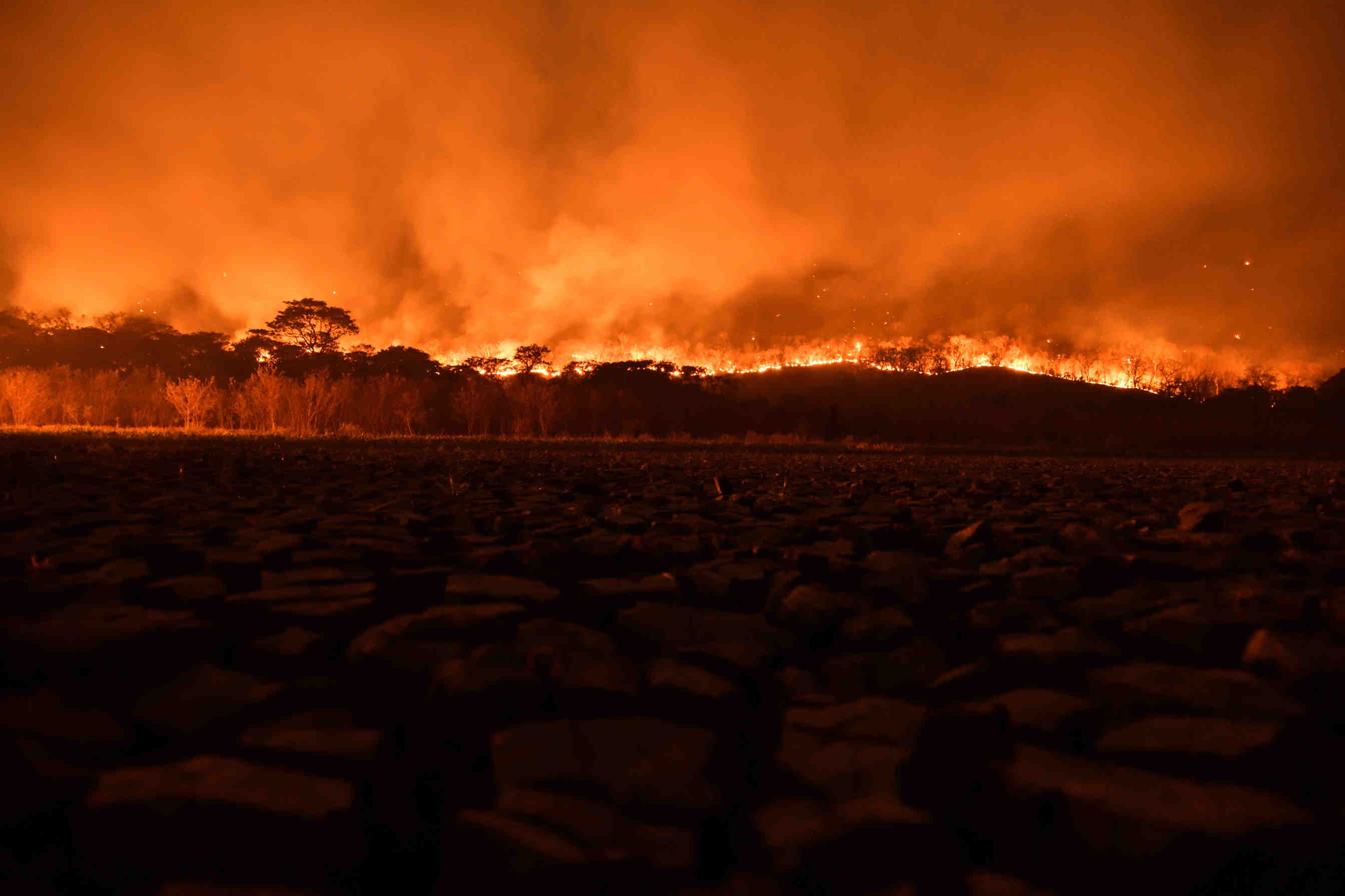 Incendi in Brasile: brucia la più grande zona umida al mondo