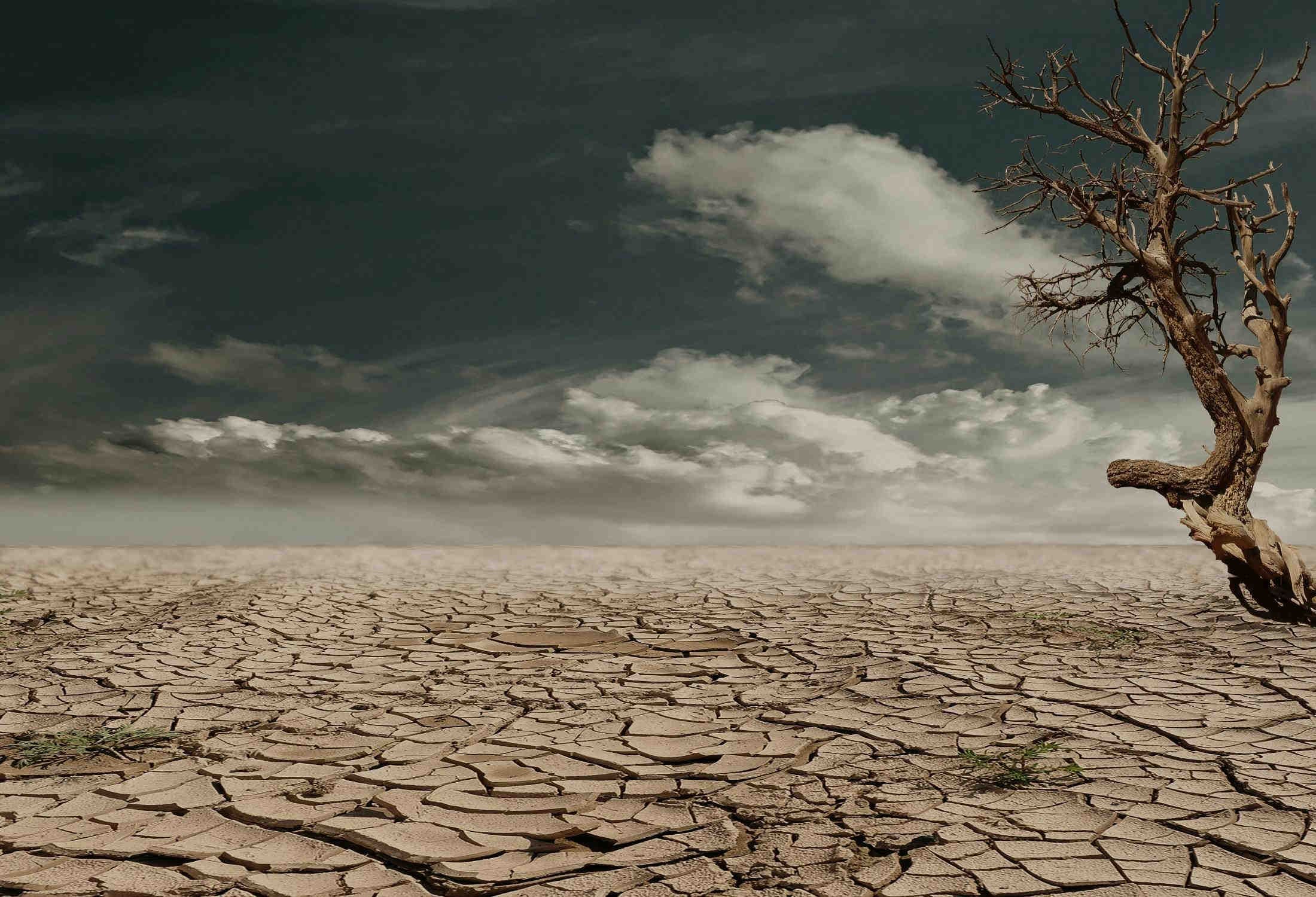 Climate Change: nel 2050 prima minaccia per la biodiversità