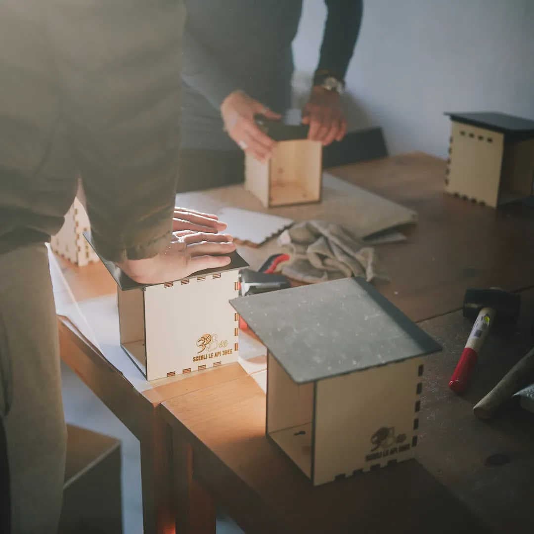 Initiatives sociales pour l'emploi durable