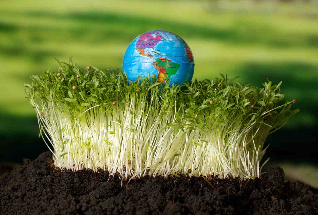 Struttura dello standard GRI 101 - Biodiversità 2024