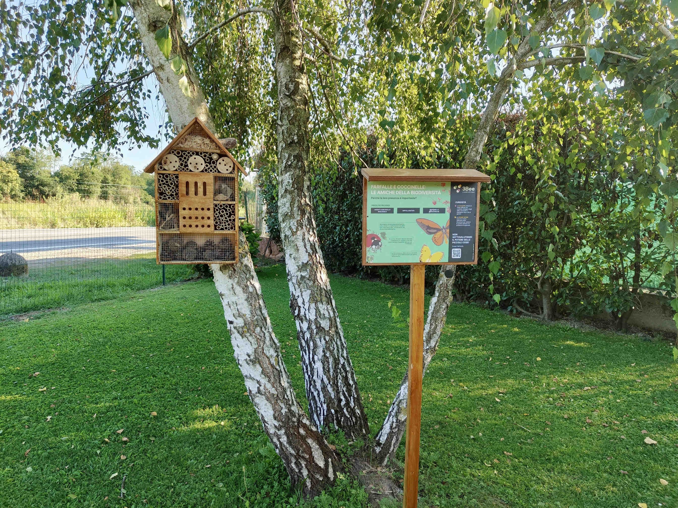 3bee-blog-ferro-e-metalli-biodiversita-e-educazione