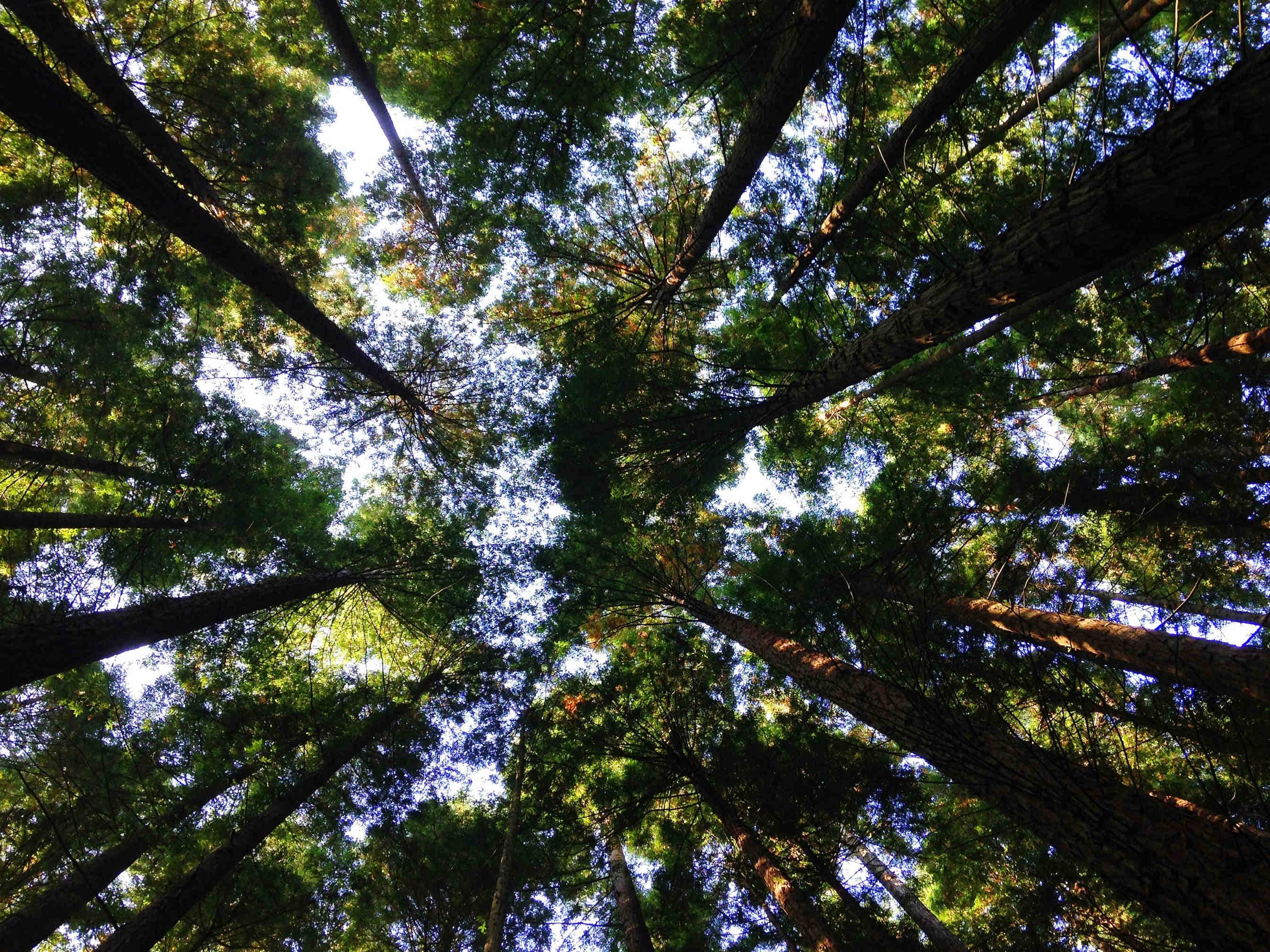 5 Actions pour la biodiversité et l'environnement