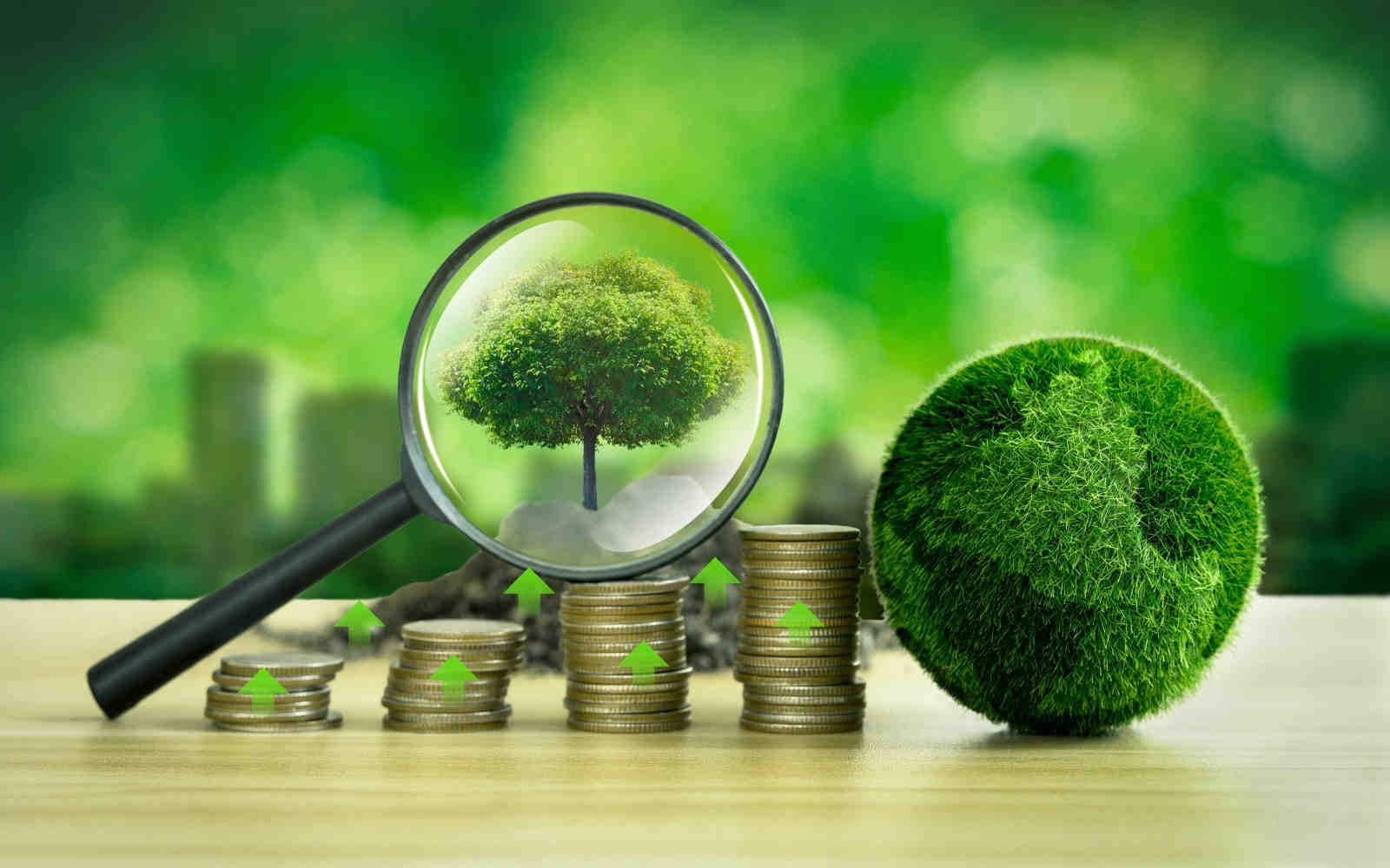 Finanza sostenibile: un quadro semplificato per le PMI