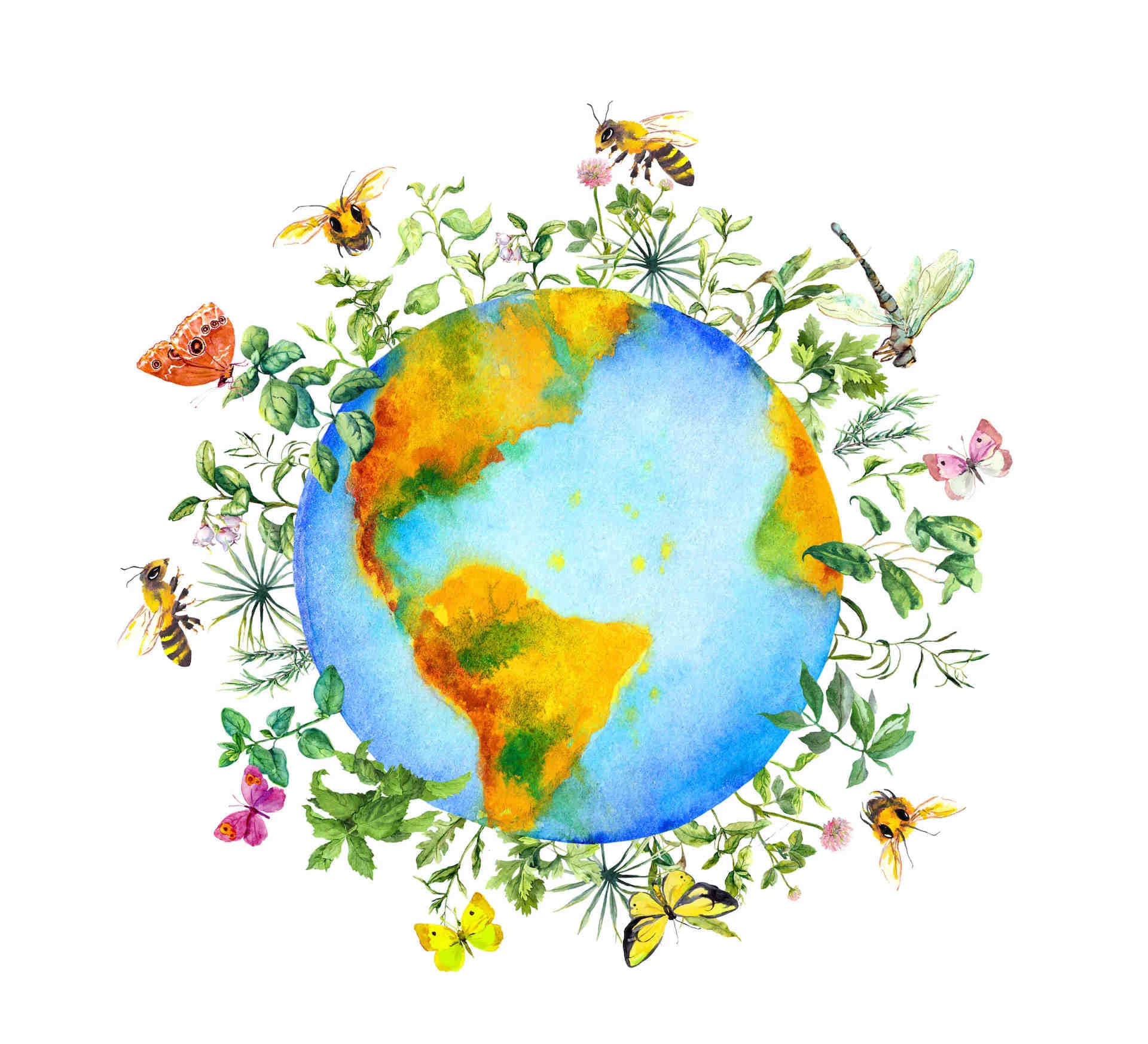 Les pollinisateurs au service de la biodiversité