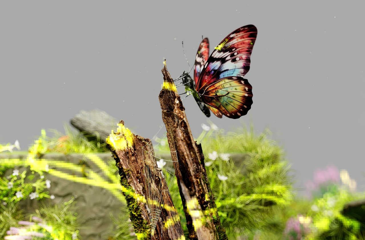 Finanza climatica e perdita di biodiversità