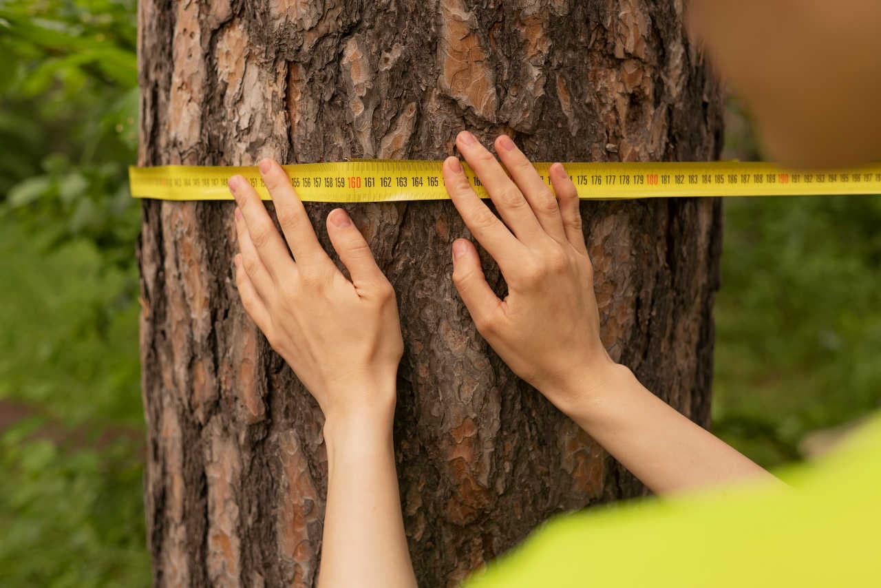Indicatori per misurare gli ESG